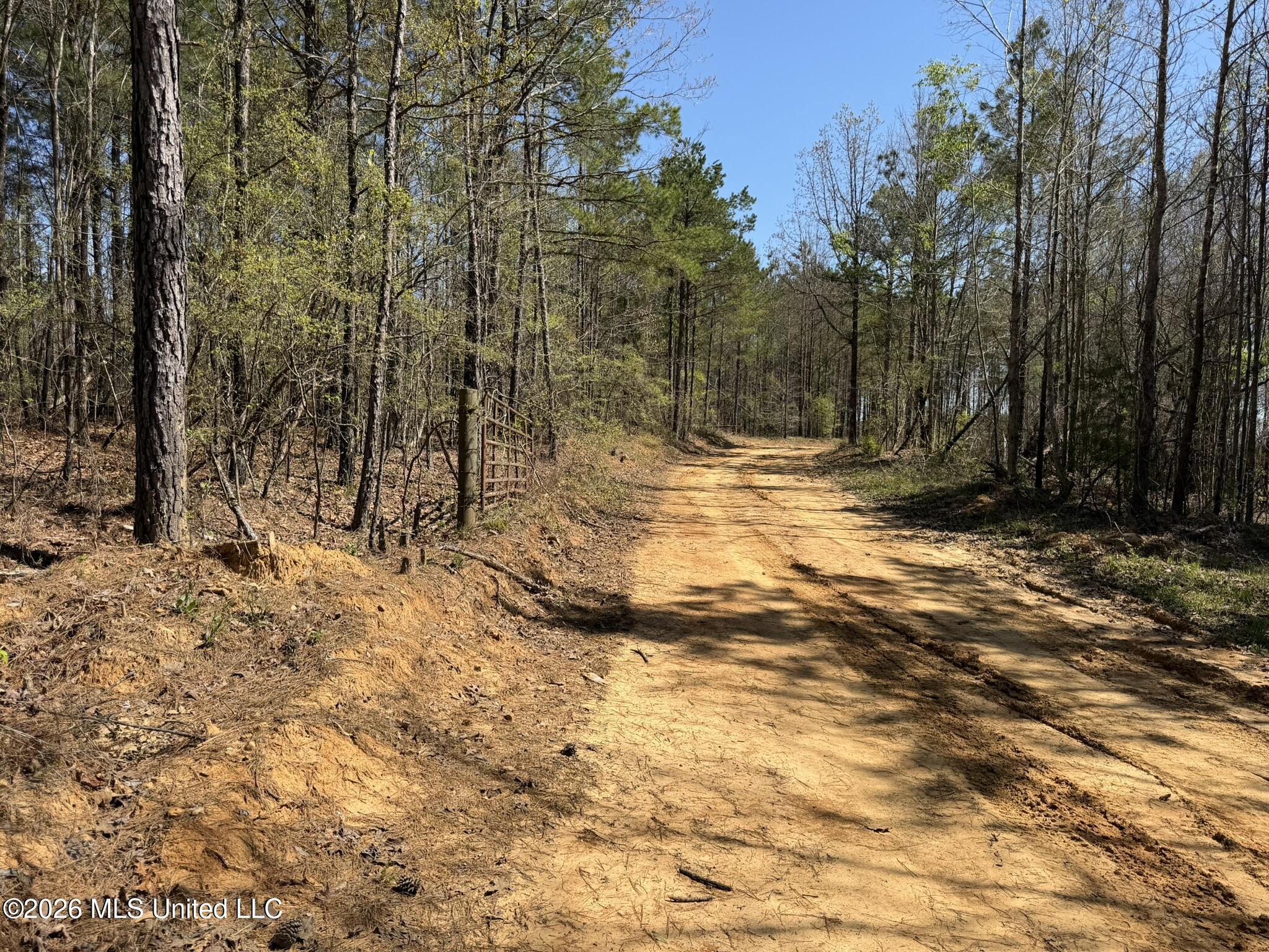 County Road 4102 Property Photo 1