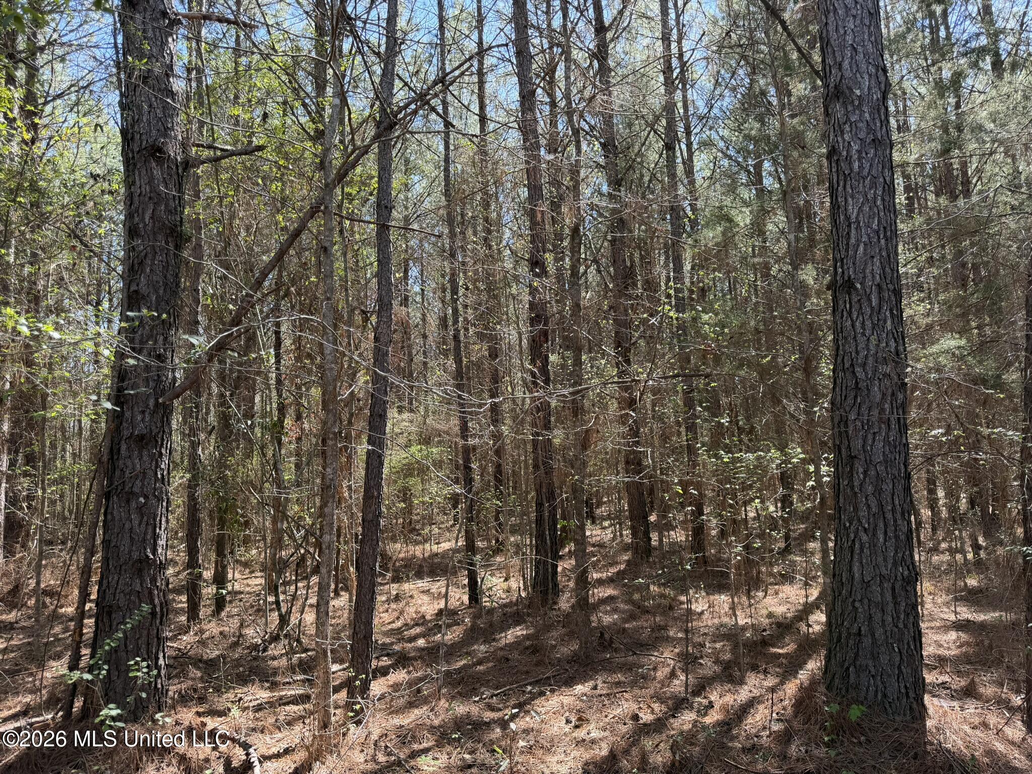 County Road 4102 Property Photo 2