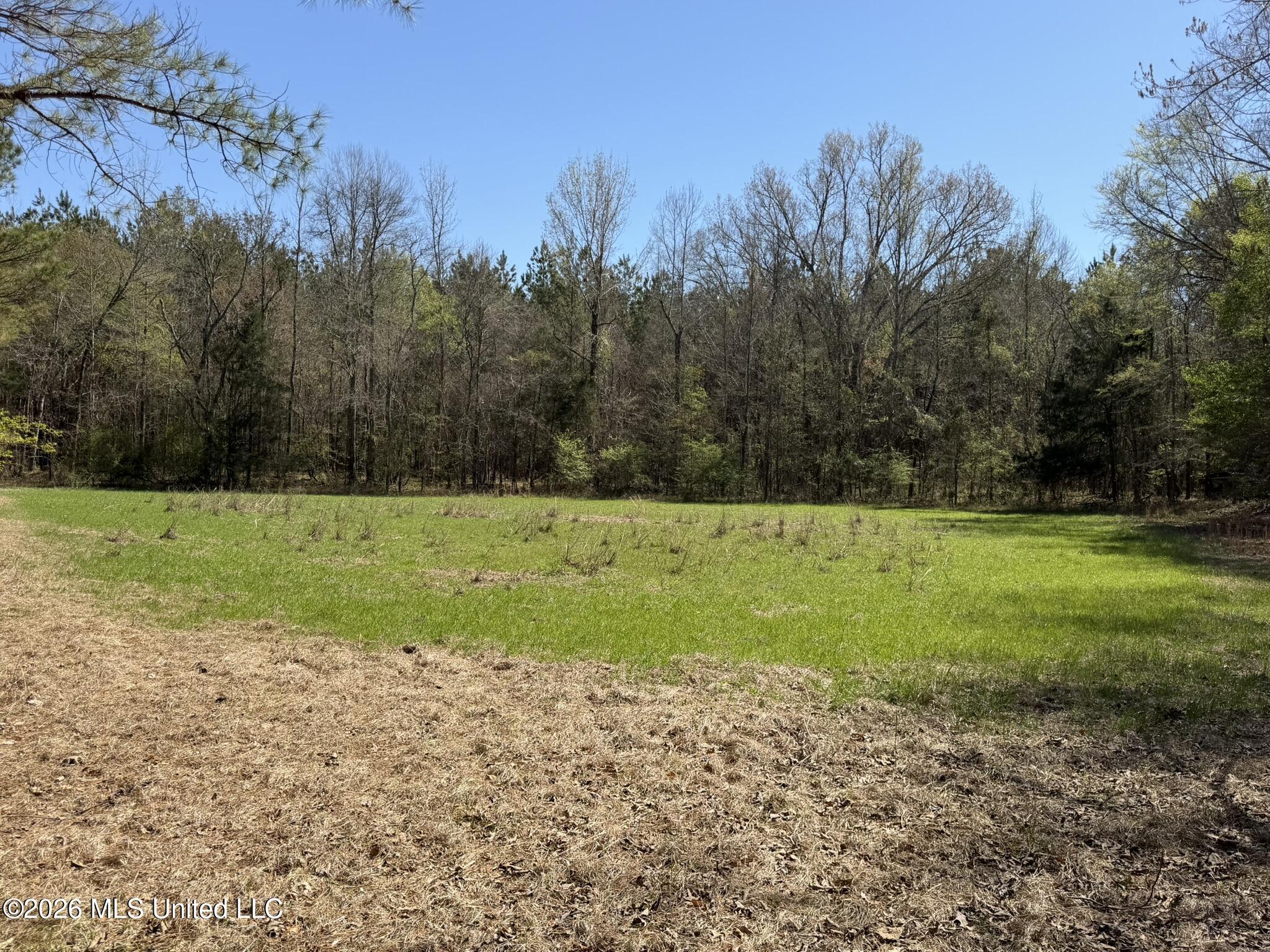 County Road 4102 Property Photo 3