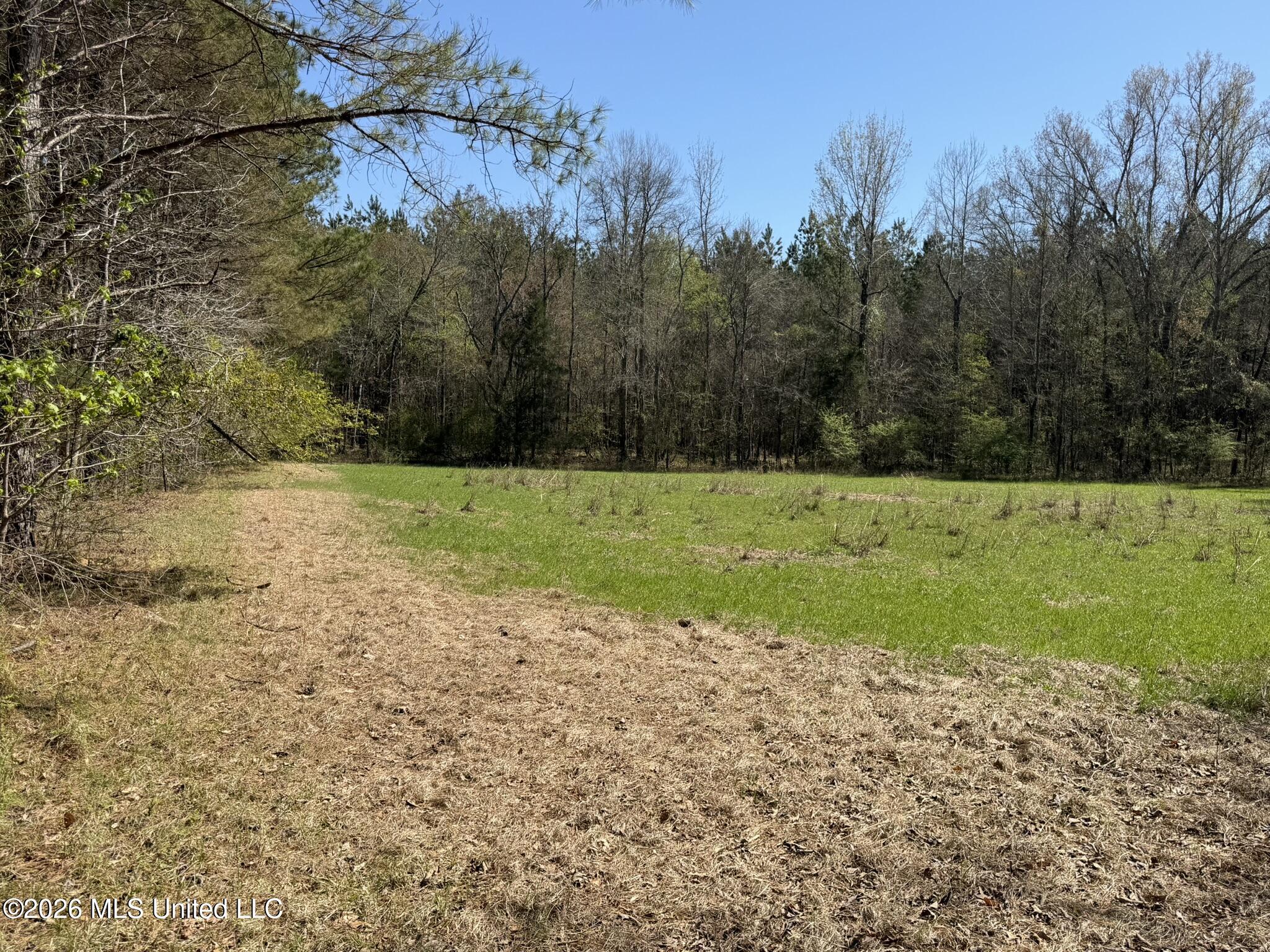 County Road 4102 Property Photo 4