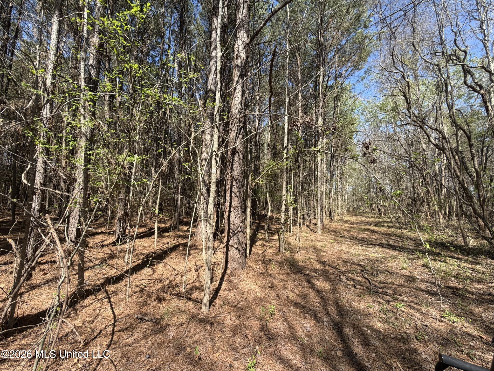 County Road 4102 Property Photo 5