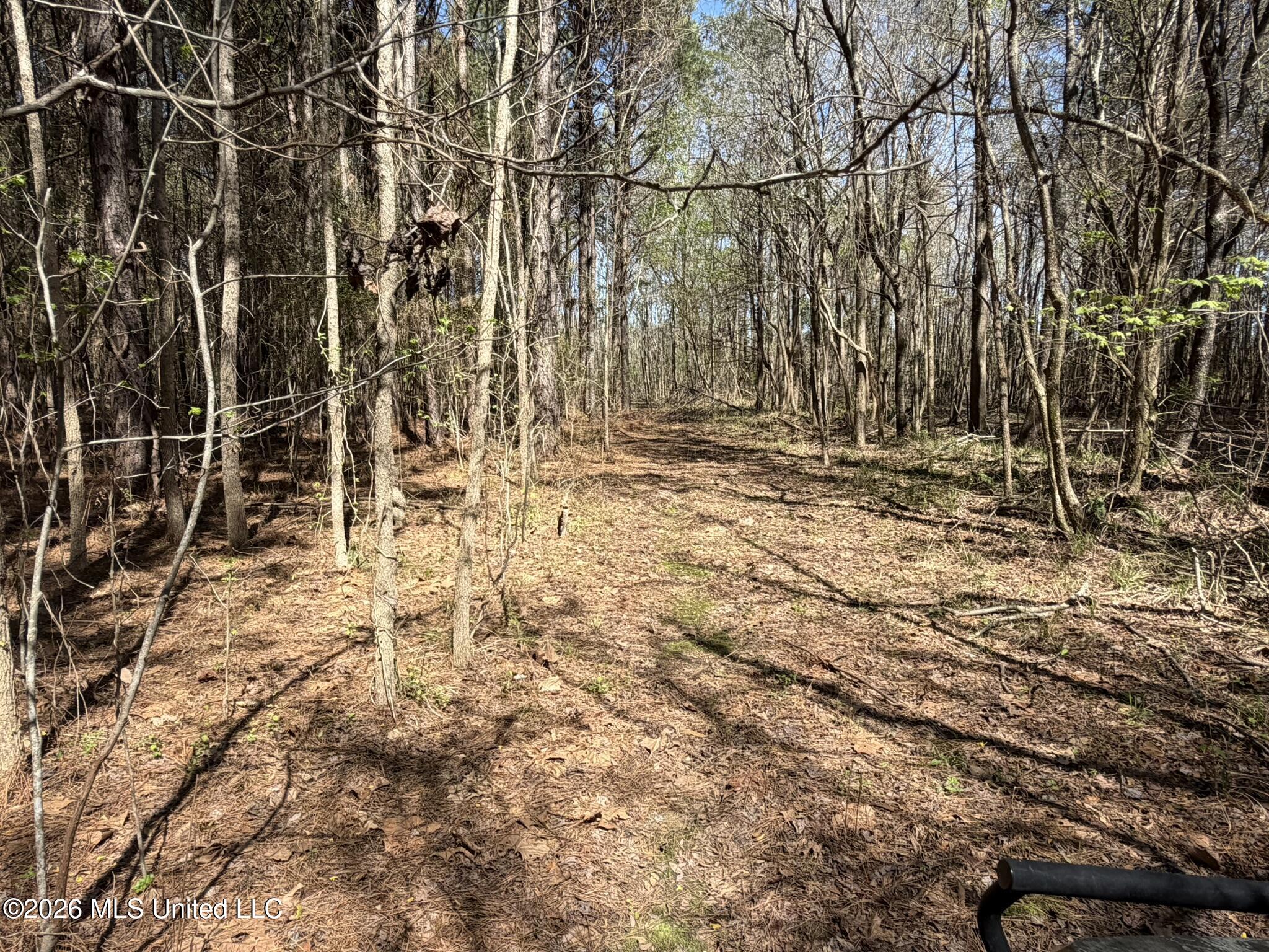 County Road 4102 Property Photo 7