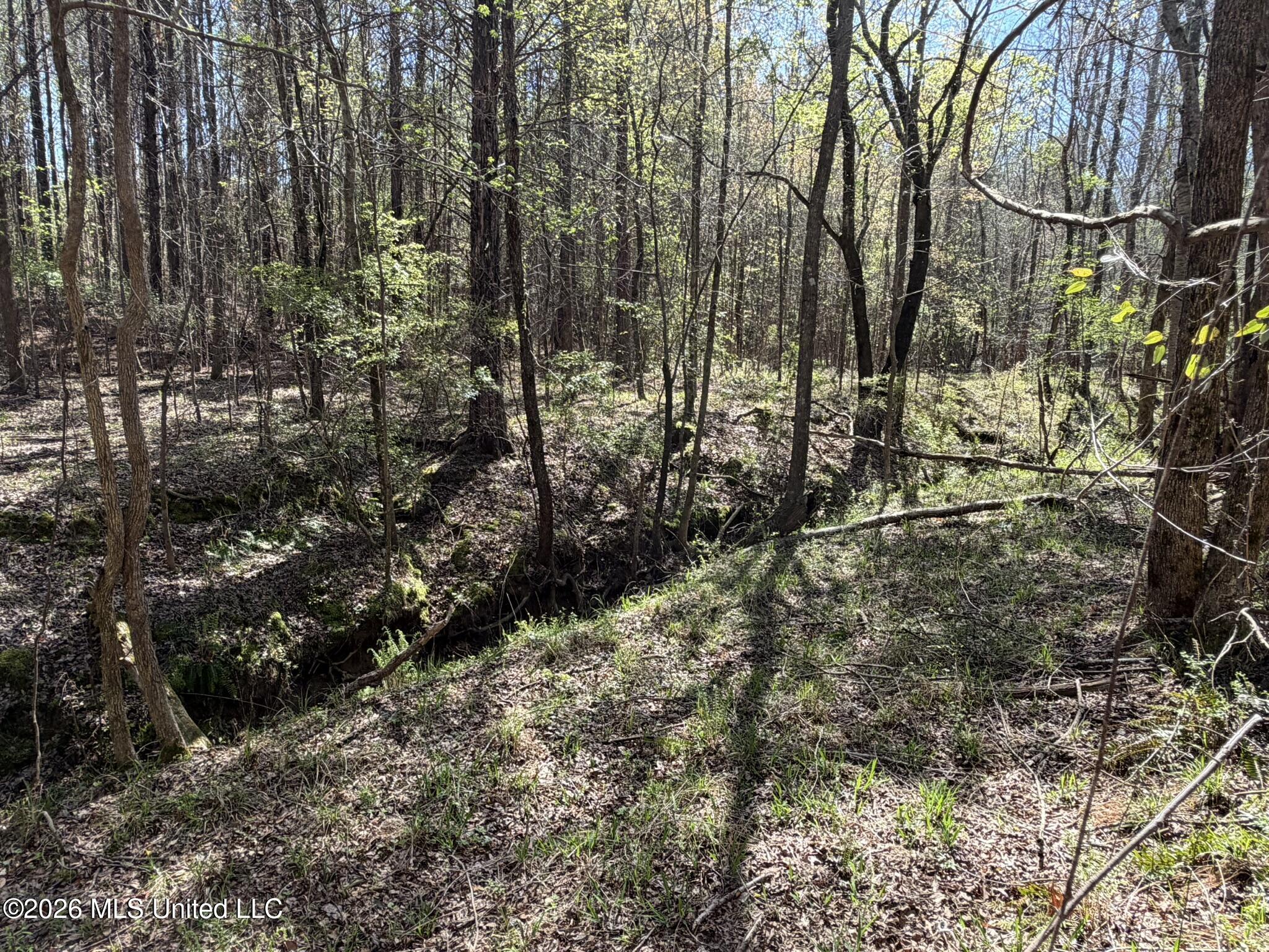 County Road 4102 Property Photo 8
