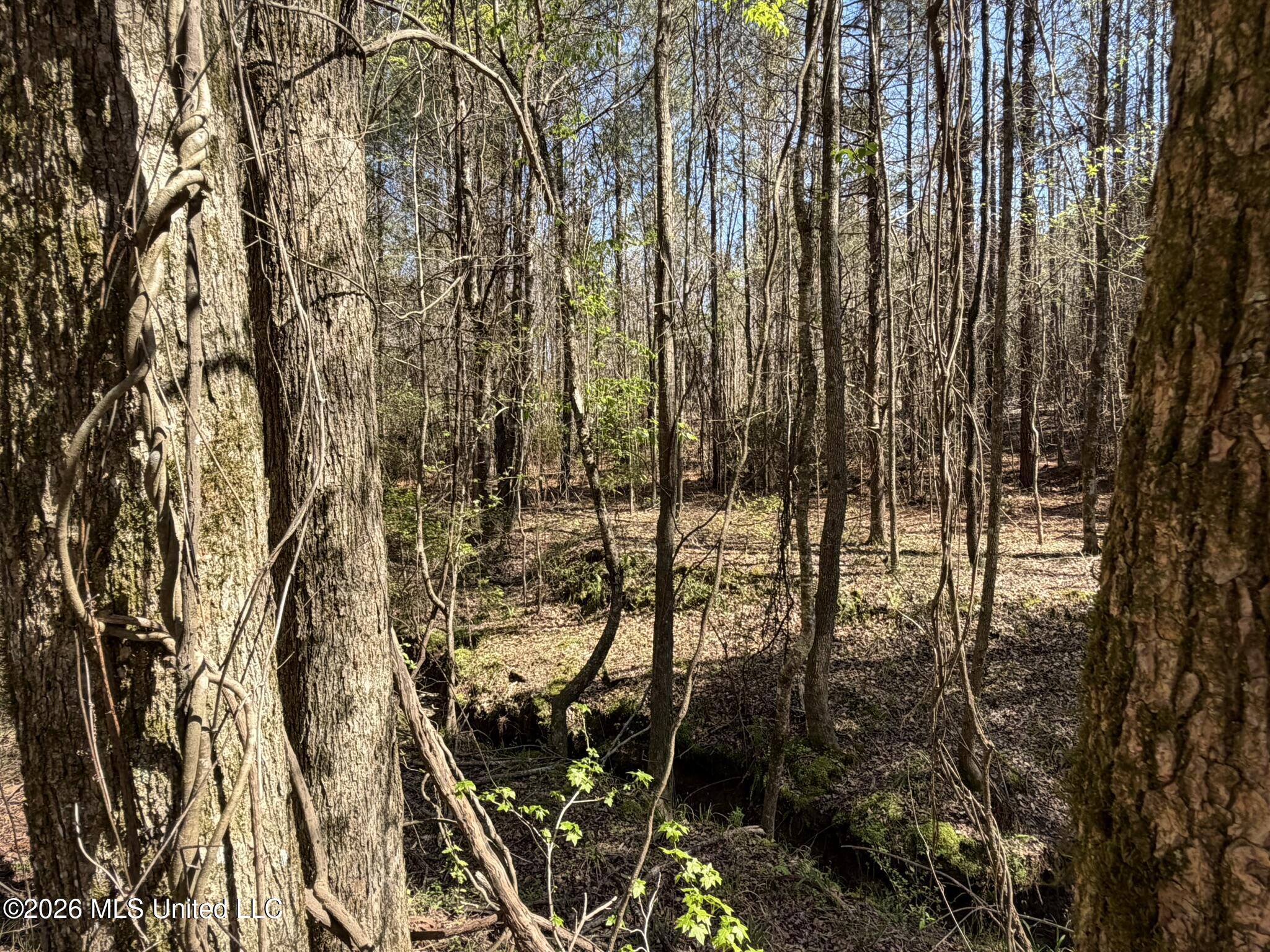 County Road 4102 Property Photo 9