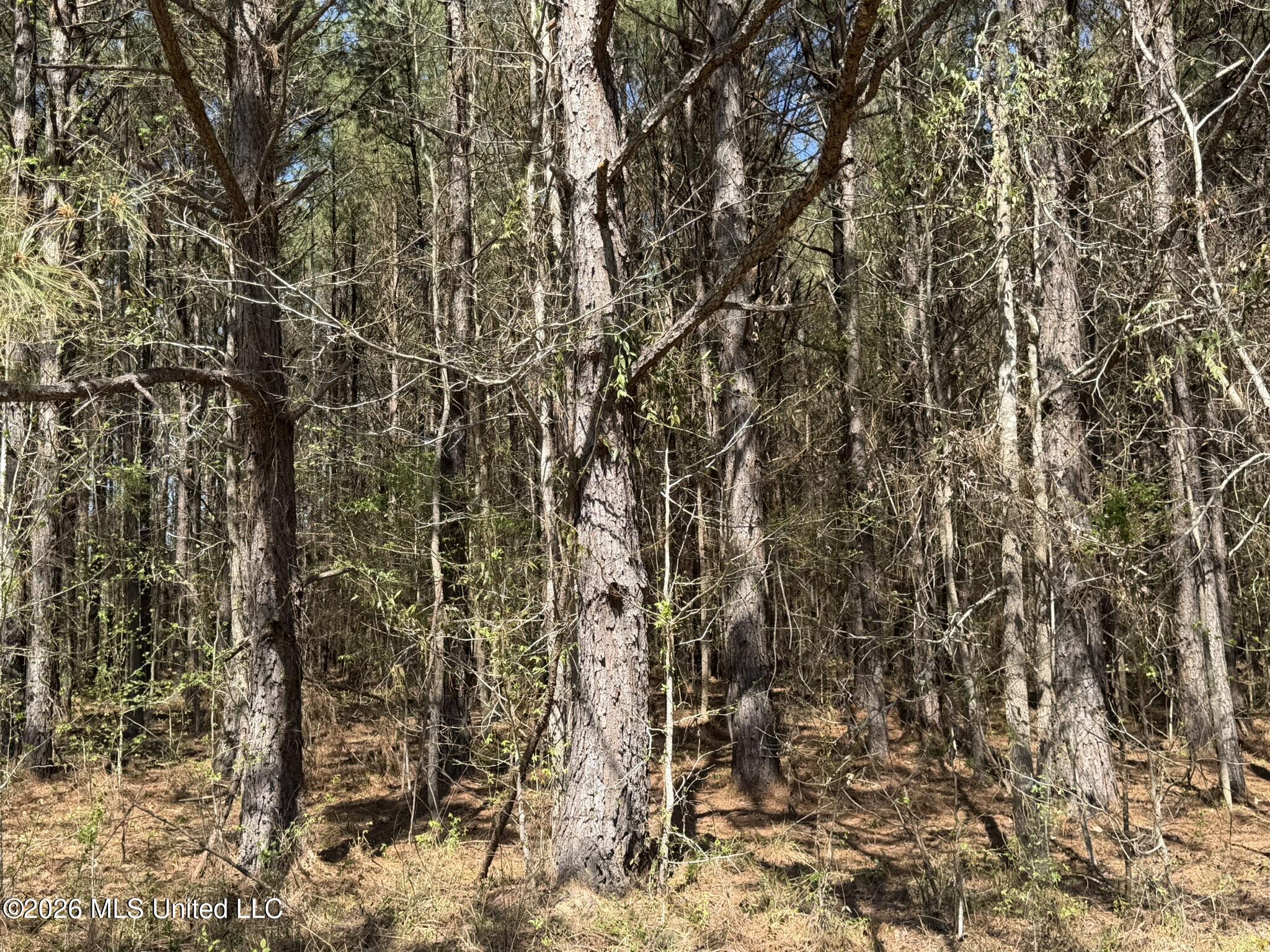 County Road 4102 Property Photo 10