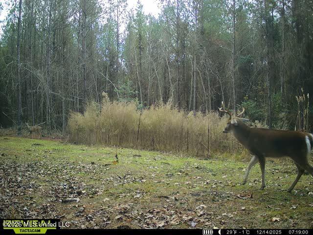 County Road 4102 Property Photo 11