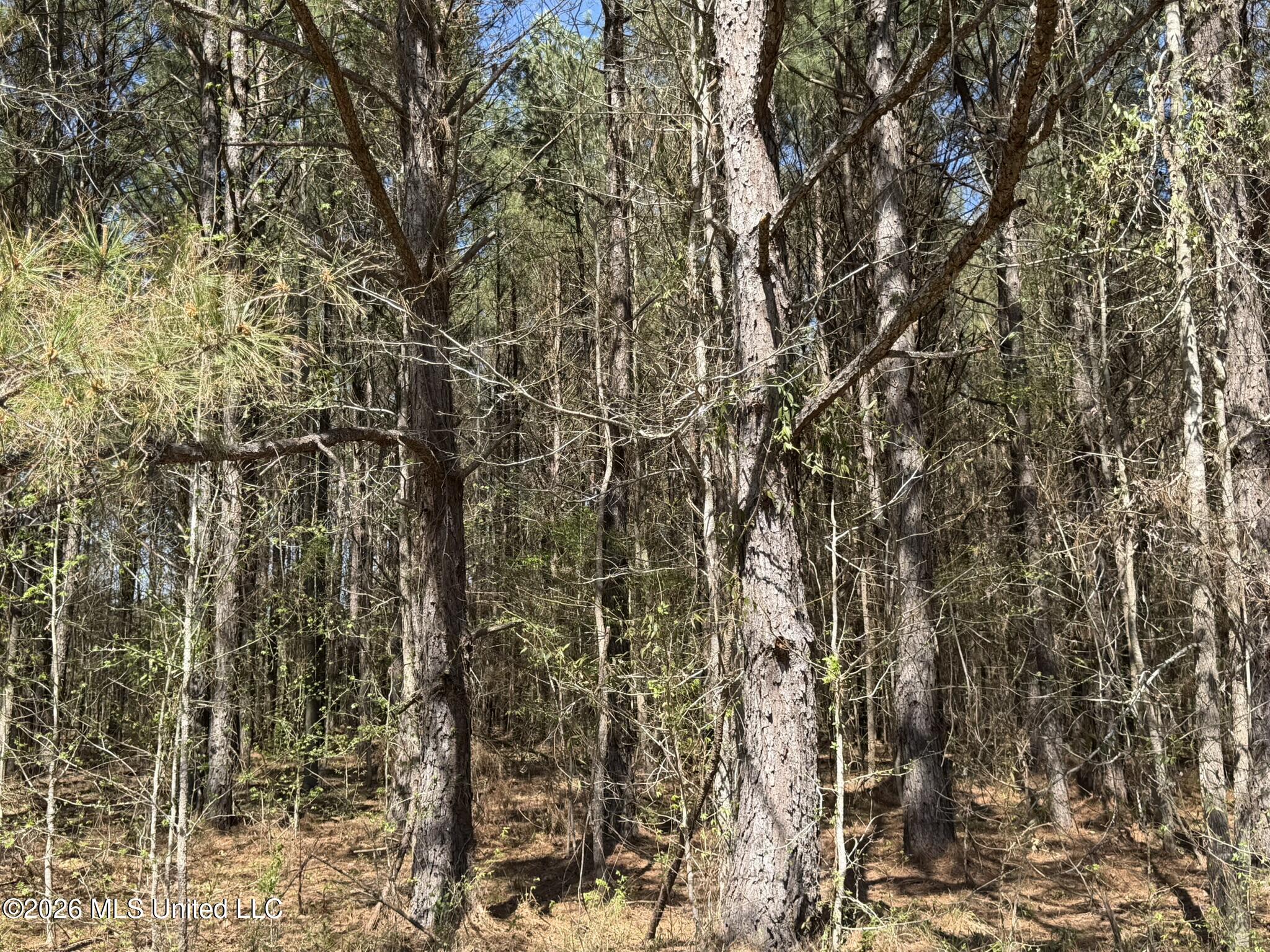 County Road 4102 Property Photo 12