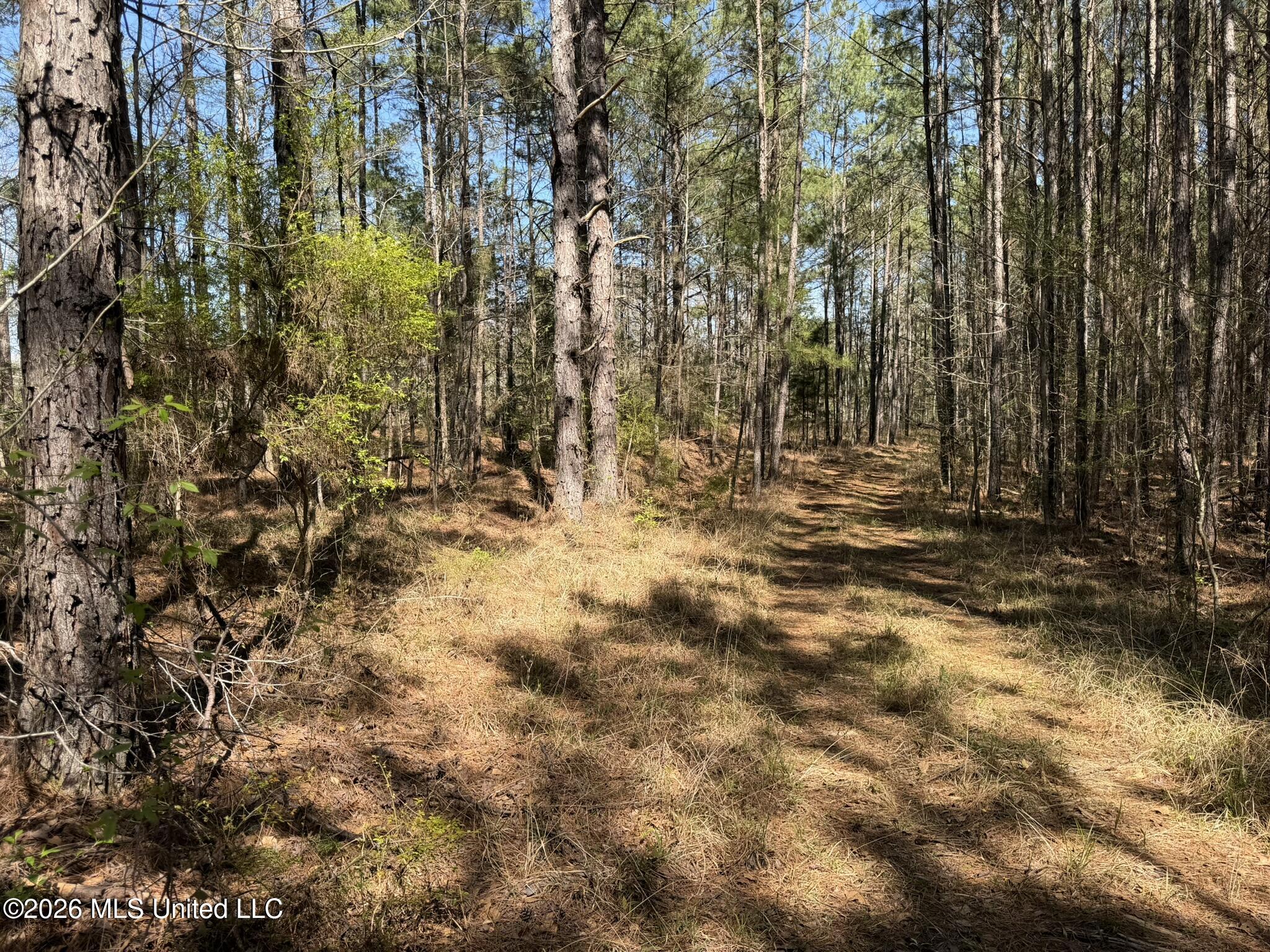 County Road 4102 Property Photo 13