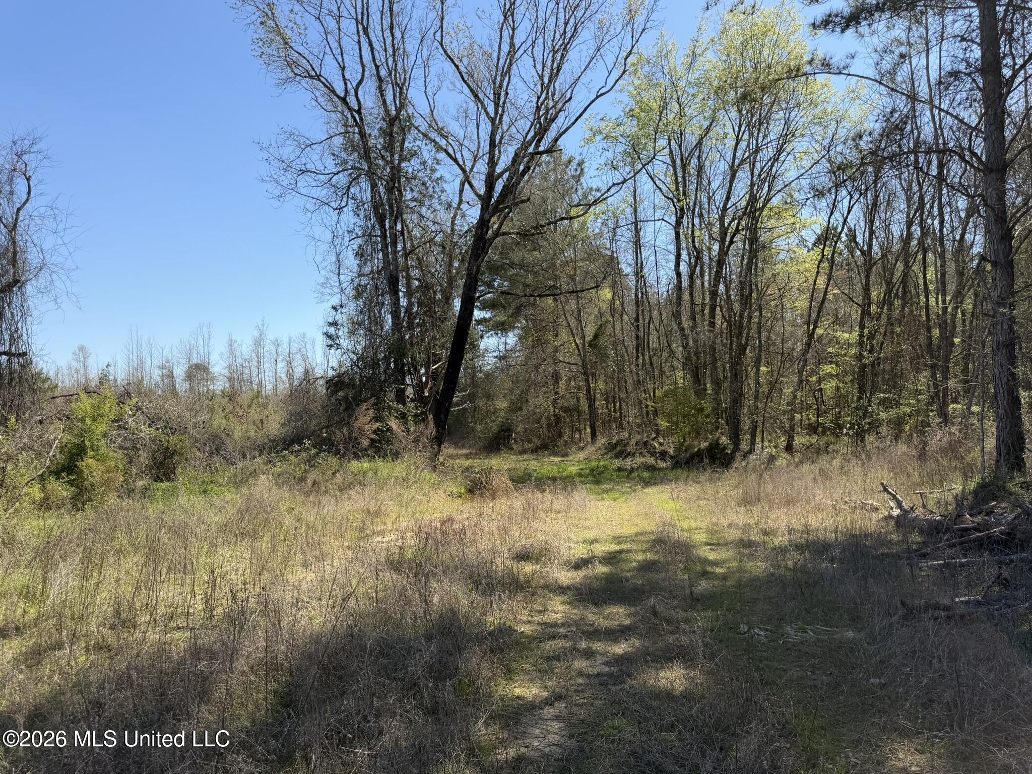 County Road 4102 Property Photo 14
