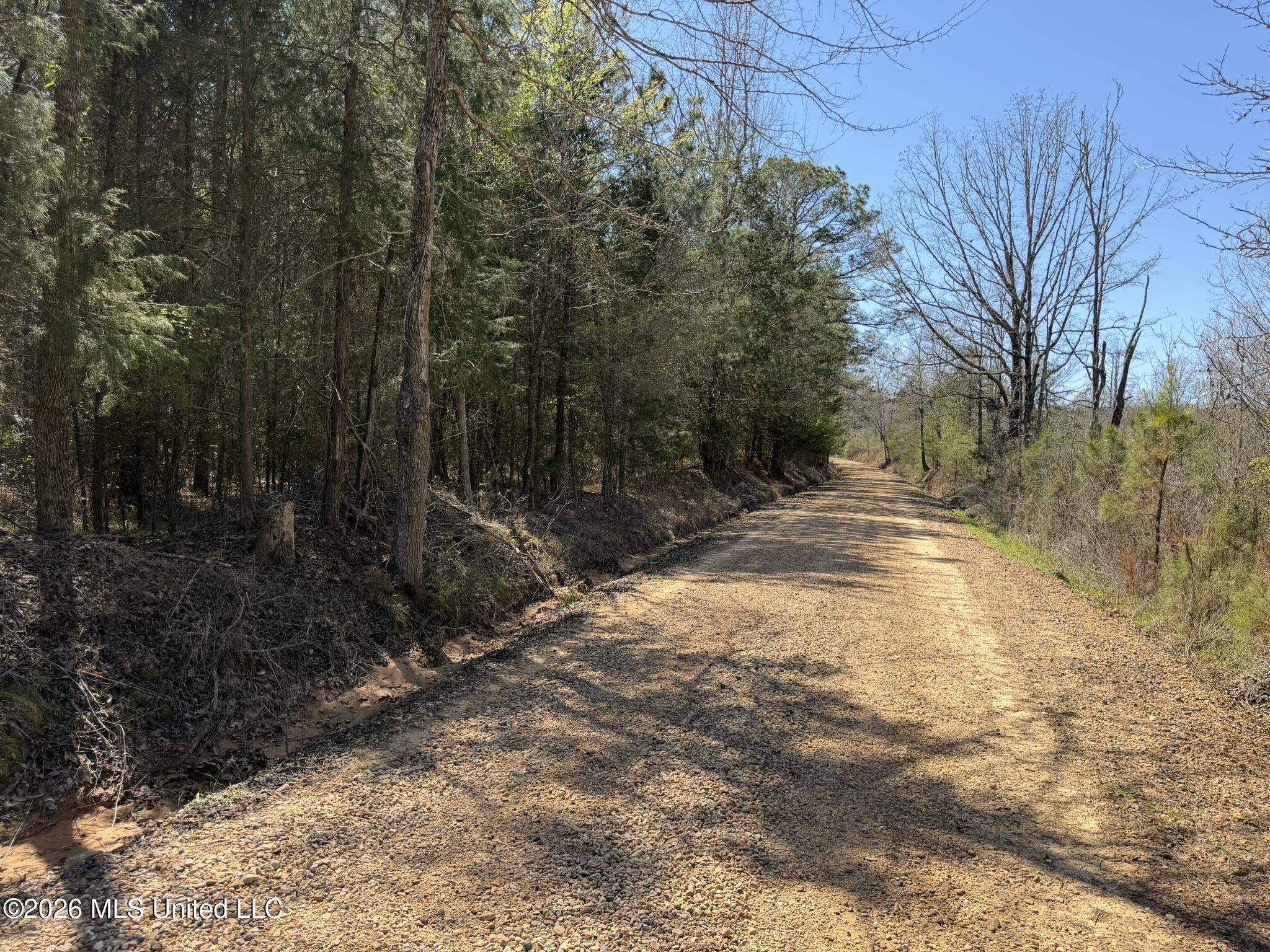 County Road 4102 Property Photo 15