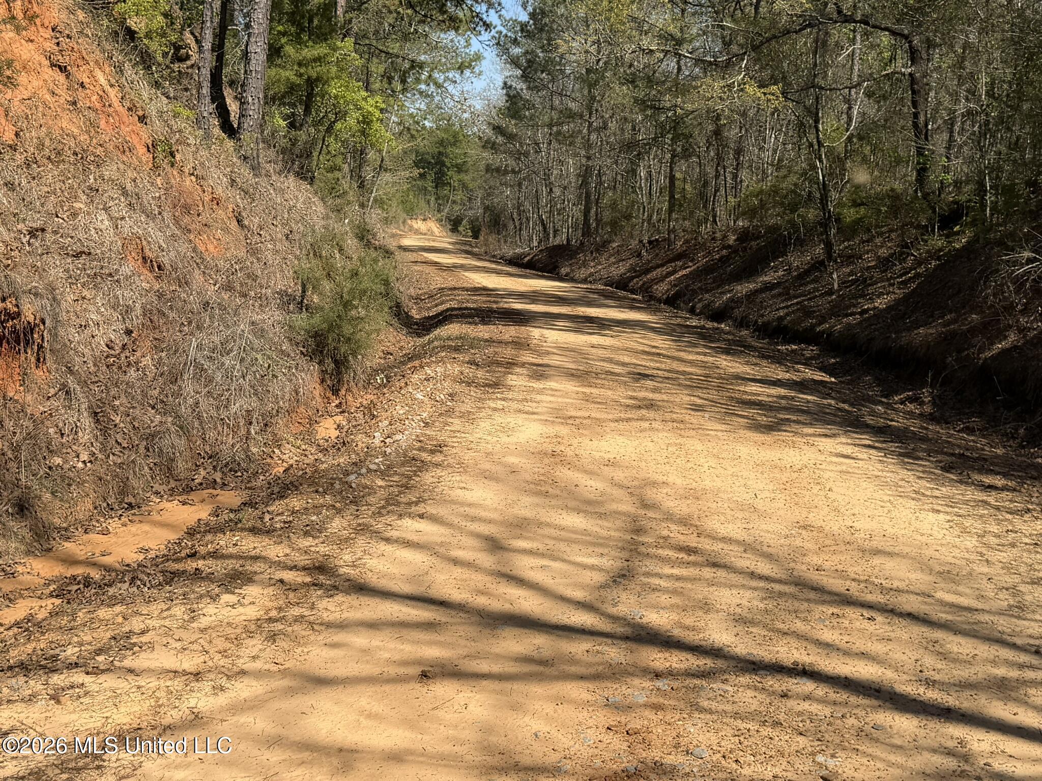 County Road 4102 Property Photo 17