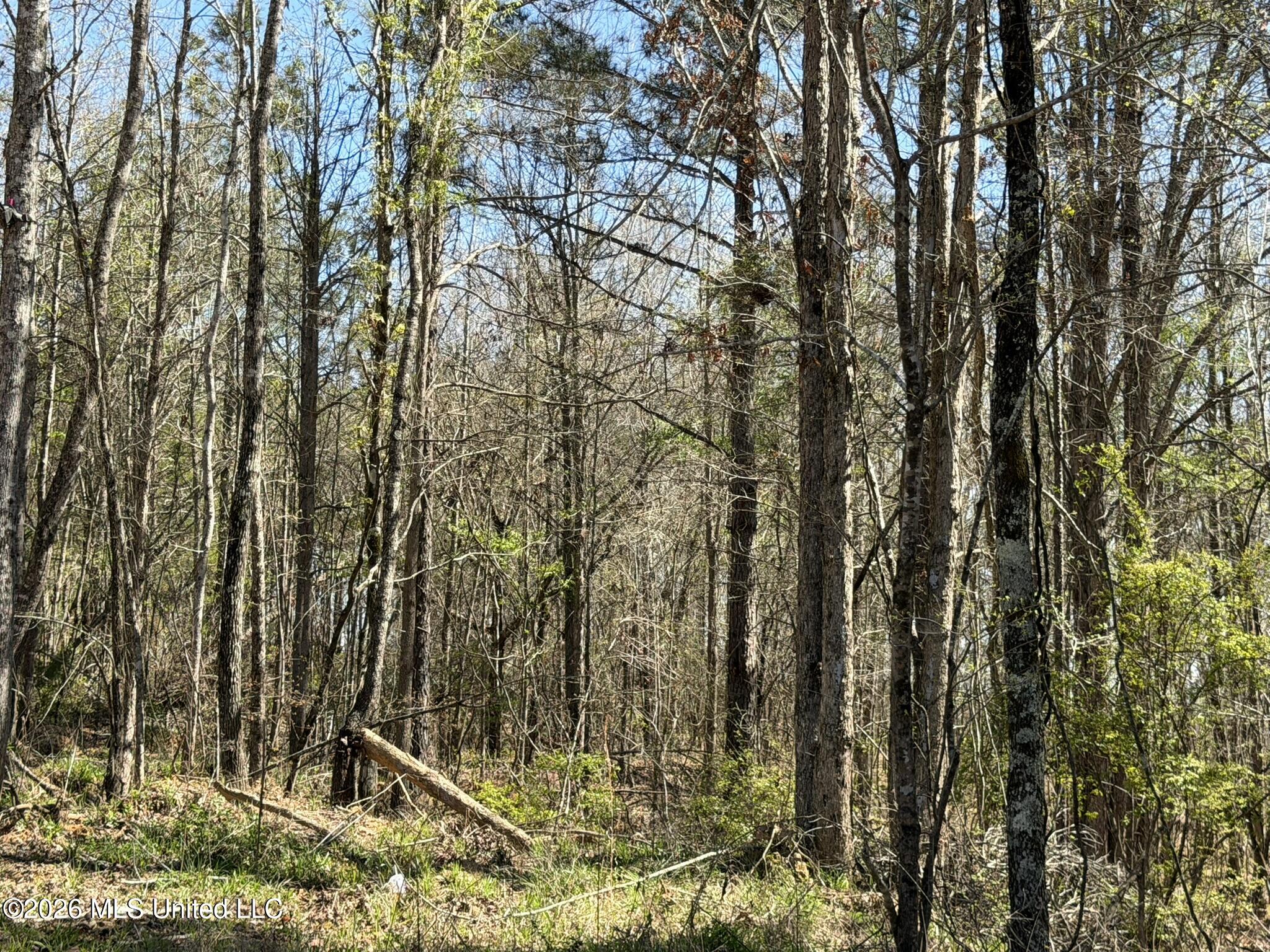 County Road 4102 Property Photo 18