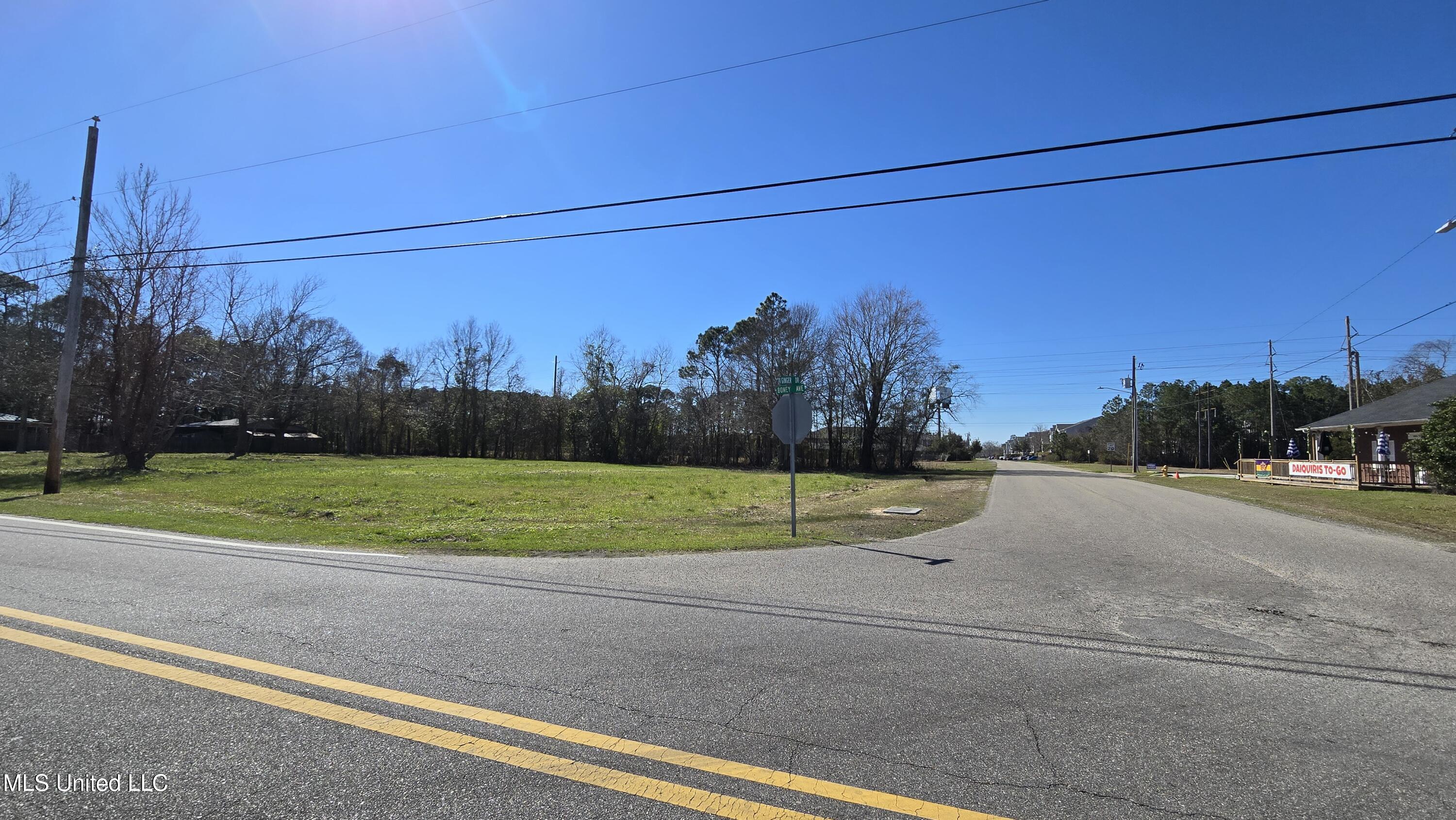 10267 Boney Avenue Property Photo 17