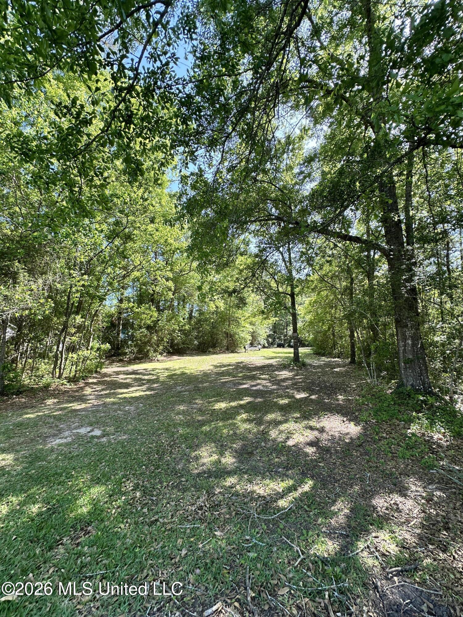 Dead River Road Property Photo 4