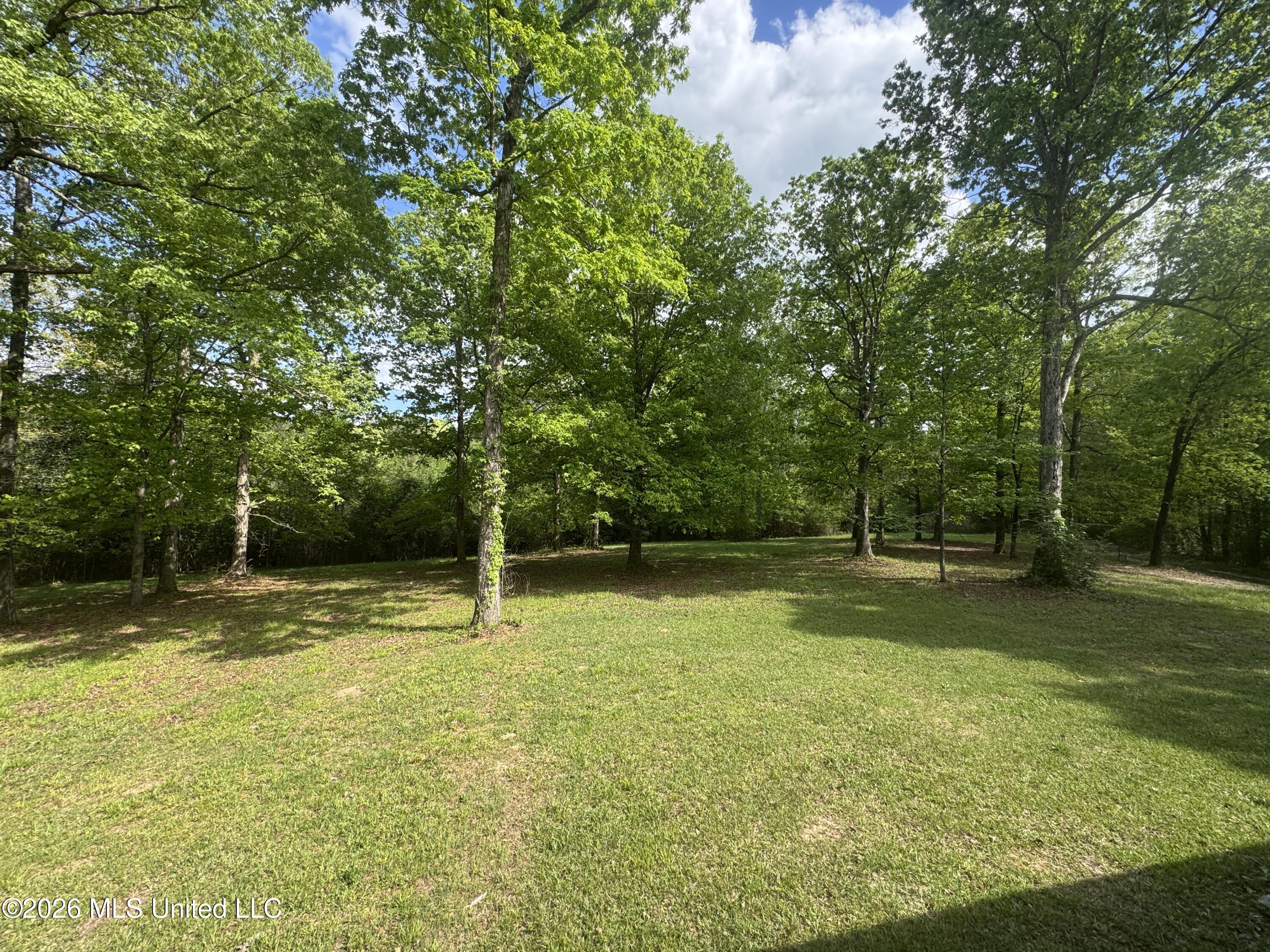 134 Seldom Seen Cove Property Photo 37