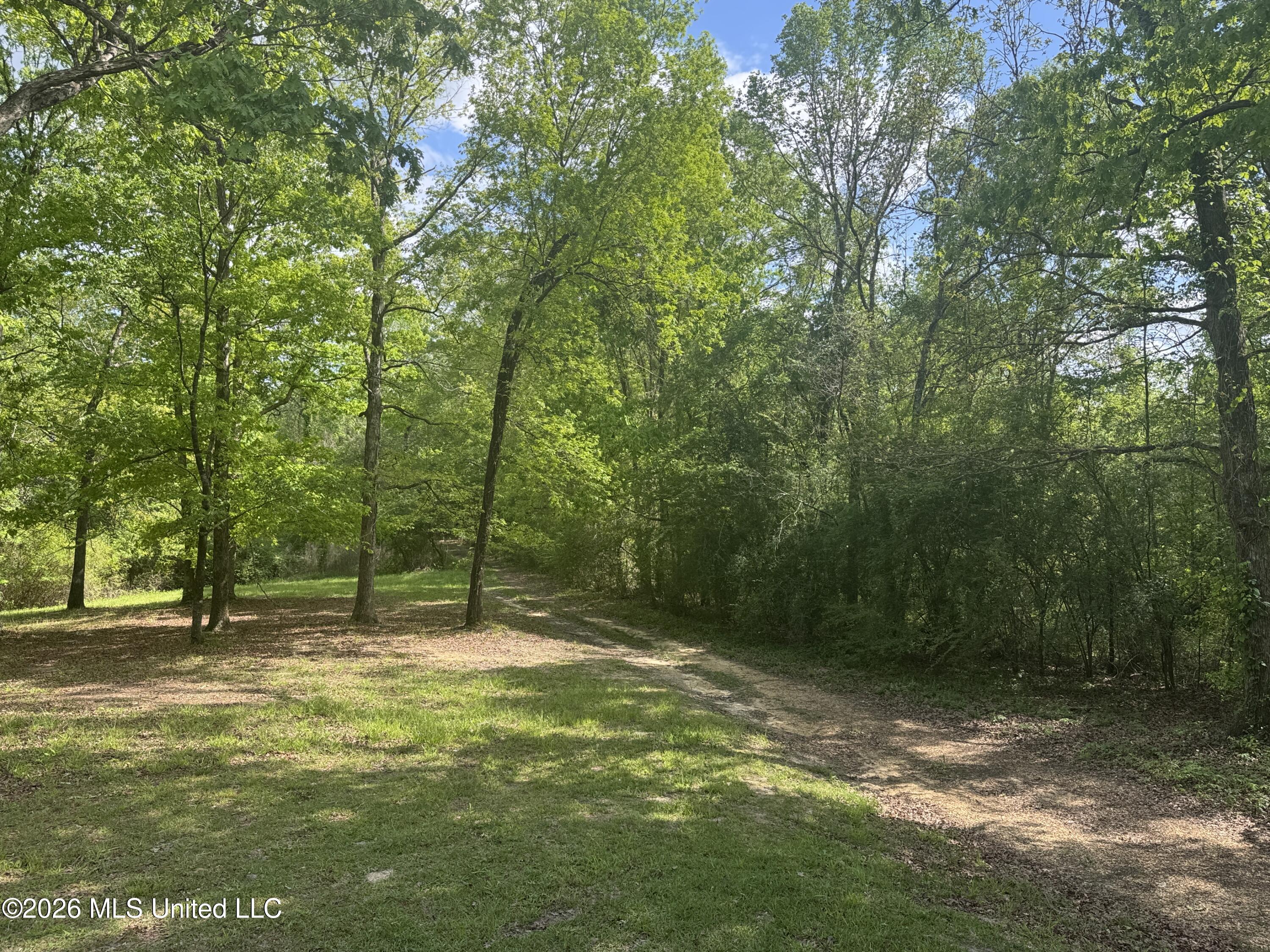 134 Seldom Seen Cove Property Photo 38