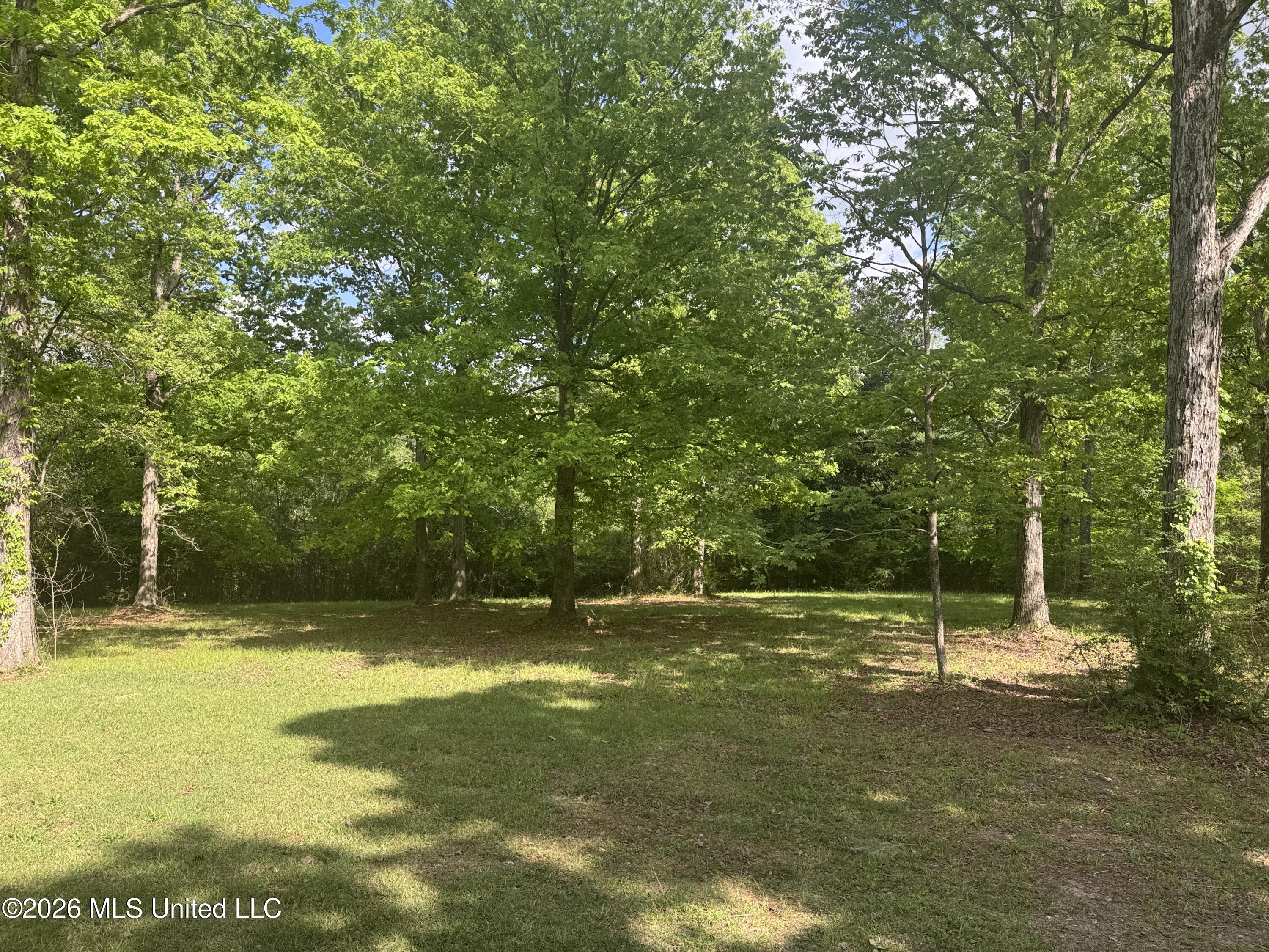134 Seldom Seen Cove Property Photo 39