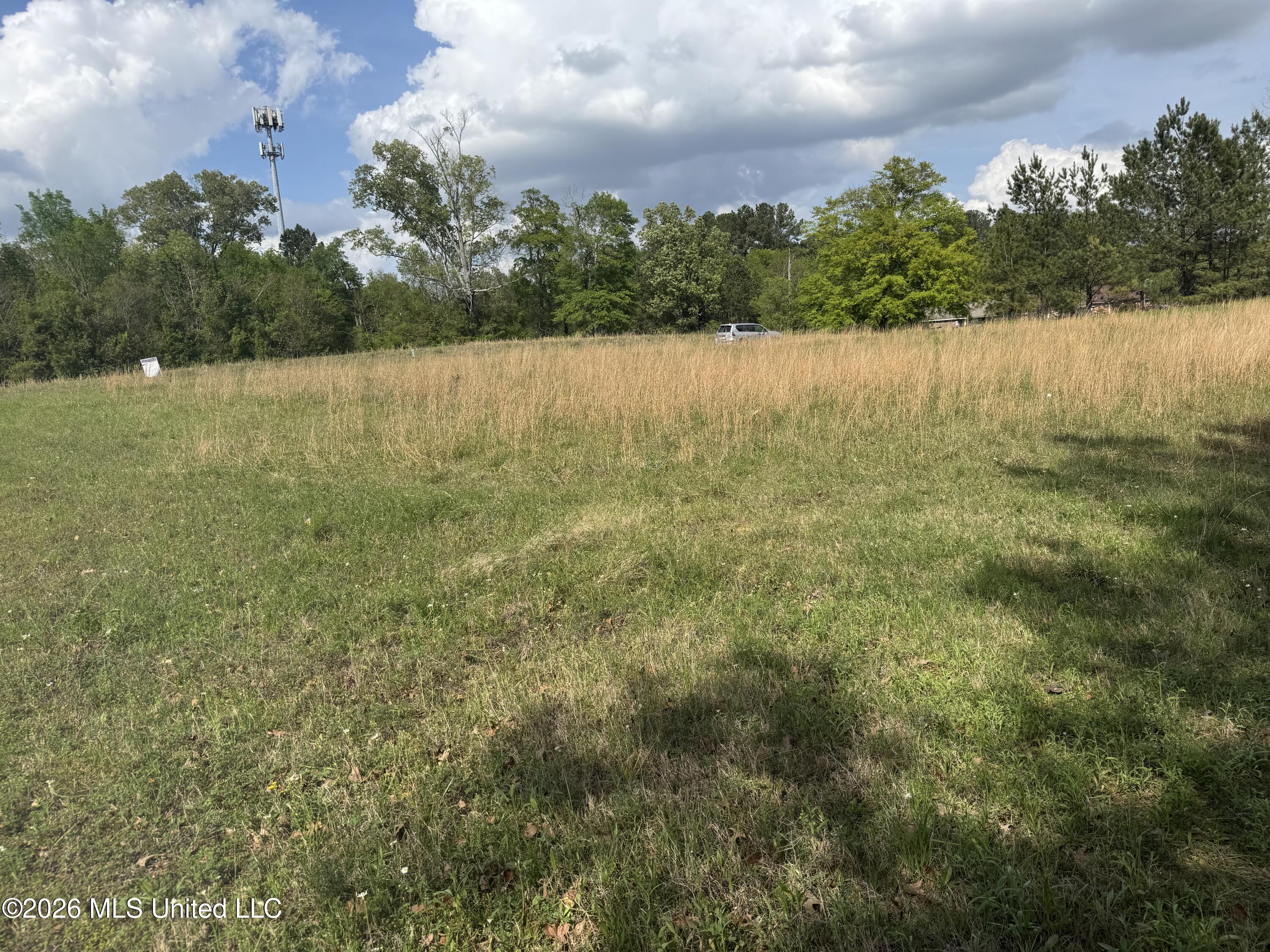 0 River Ridge Parkway Property Photo 3
