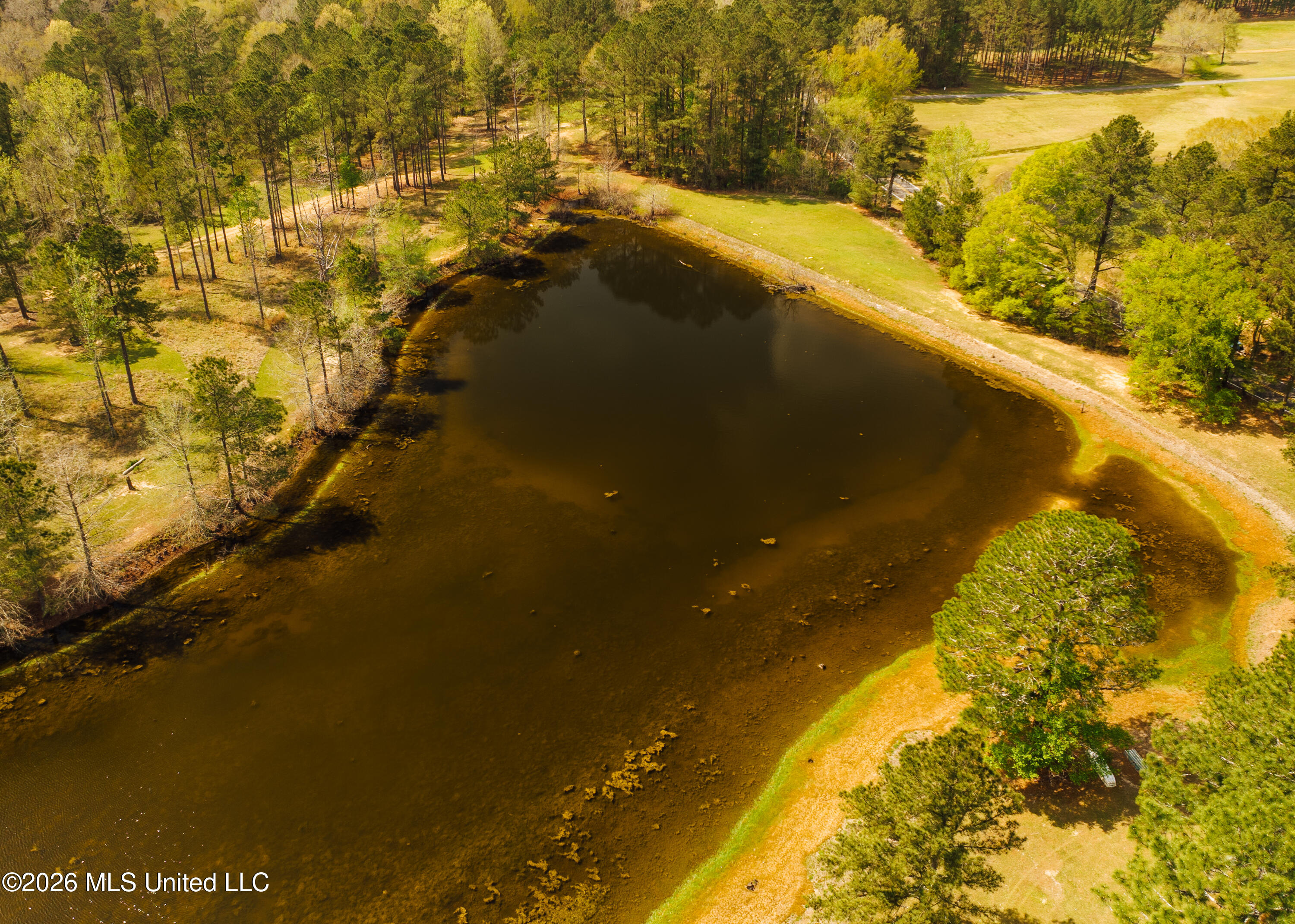 853 Spring Water Ranch Road Property Photo 5