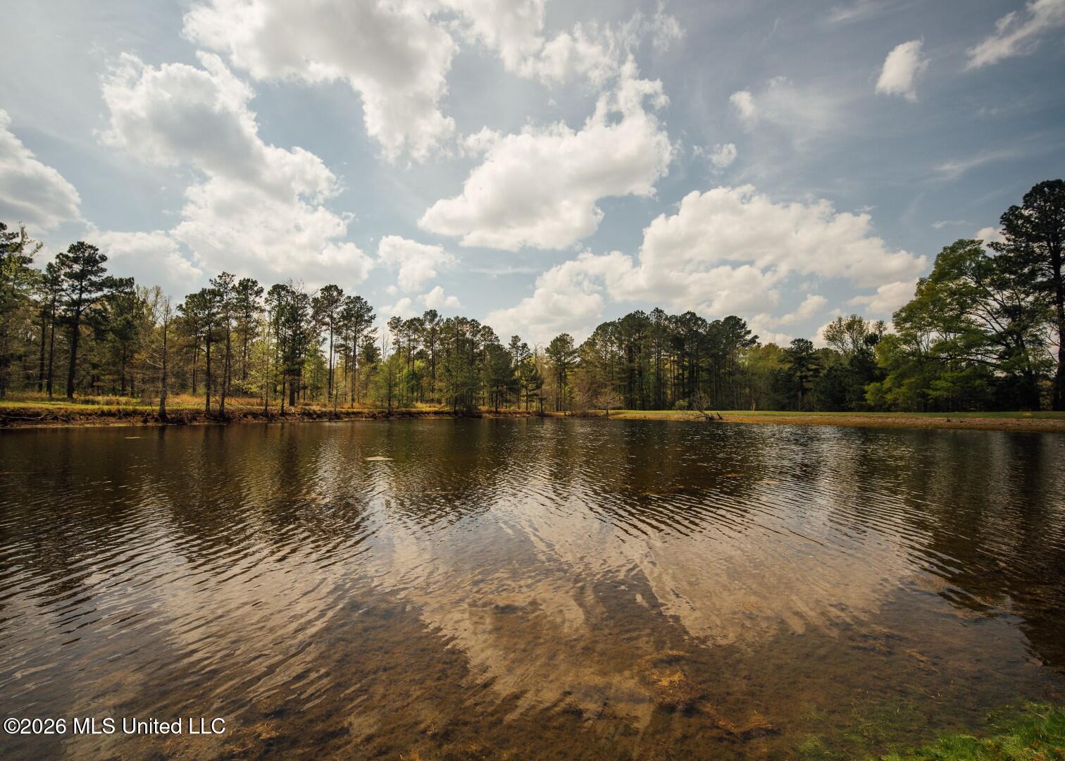 853 Spring Water Ranch Road Property Photo 47