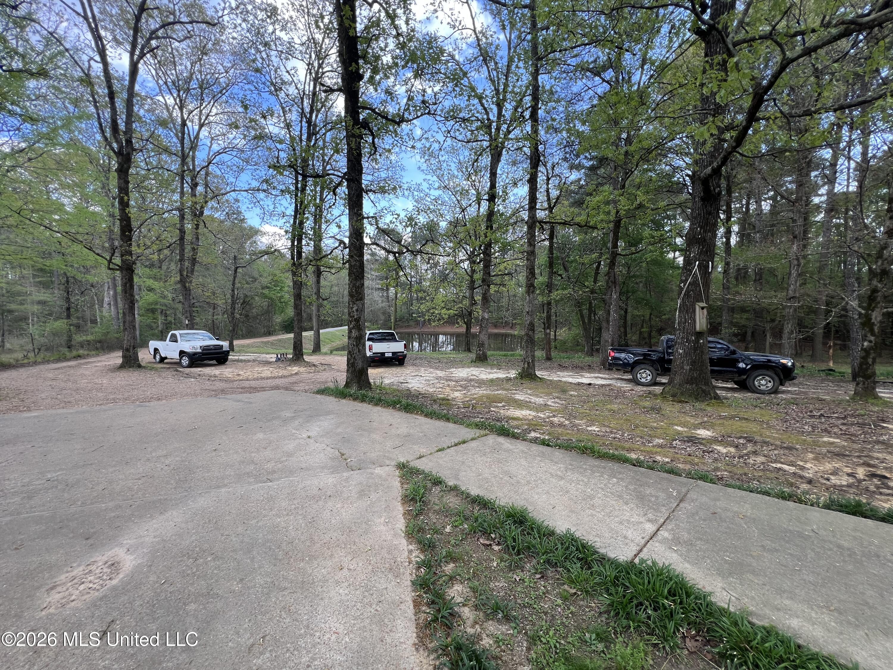 251 Copperhead Road Property Photo 4