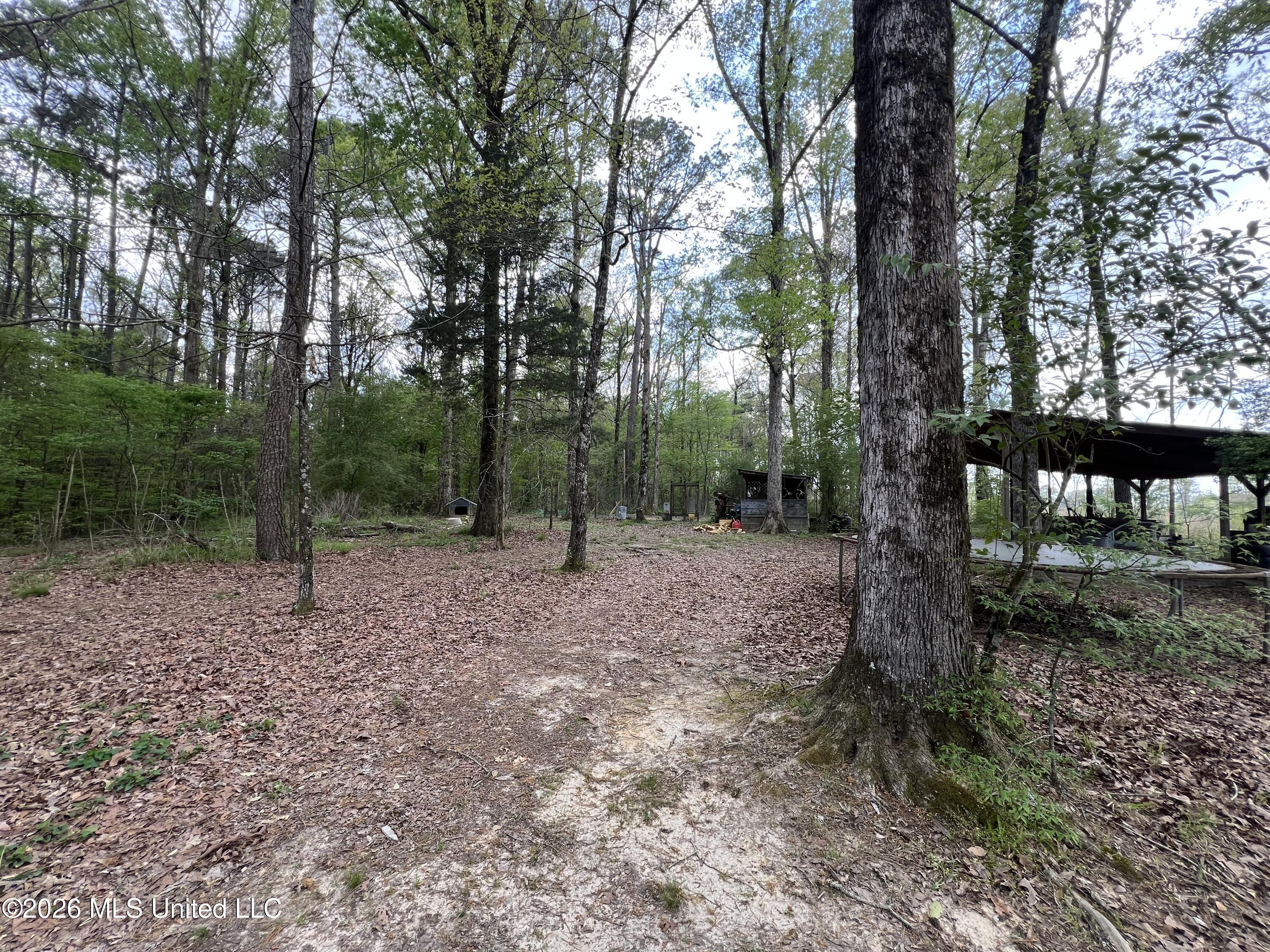 251 Copperhead Road Property Photo 6