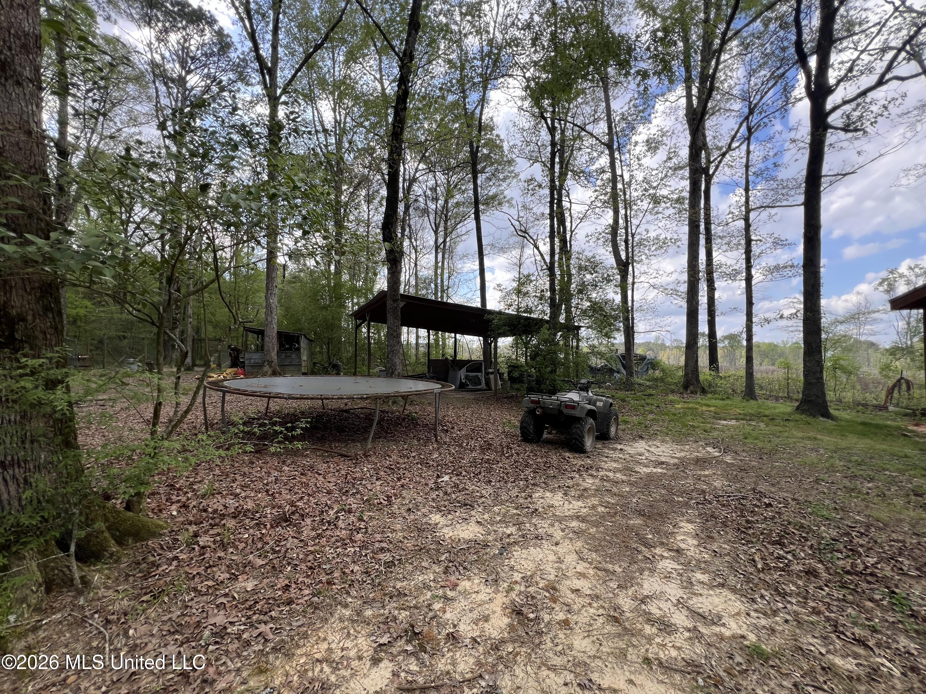 251 Copperhead Road Property Photo 7
