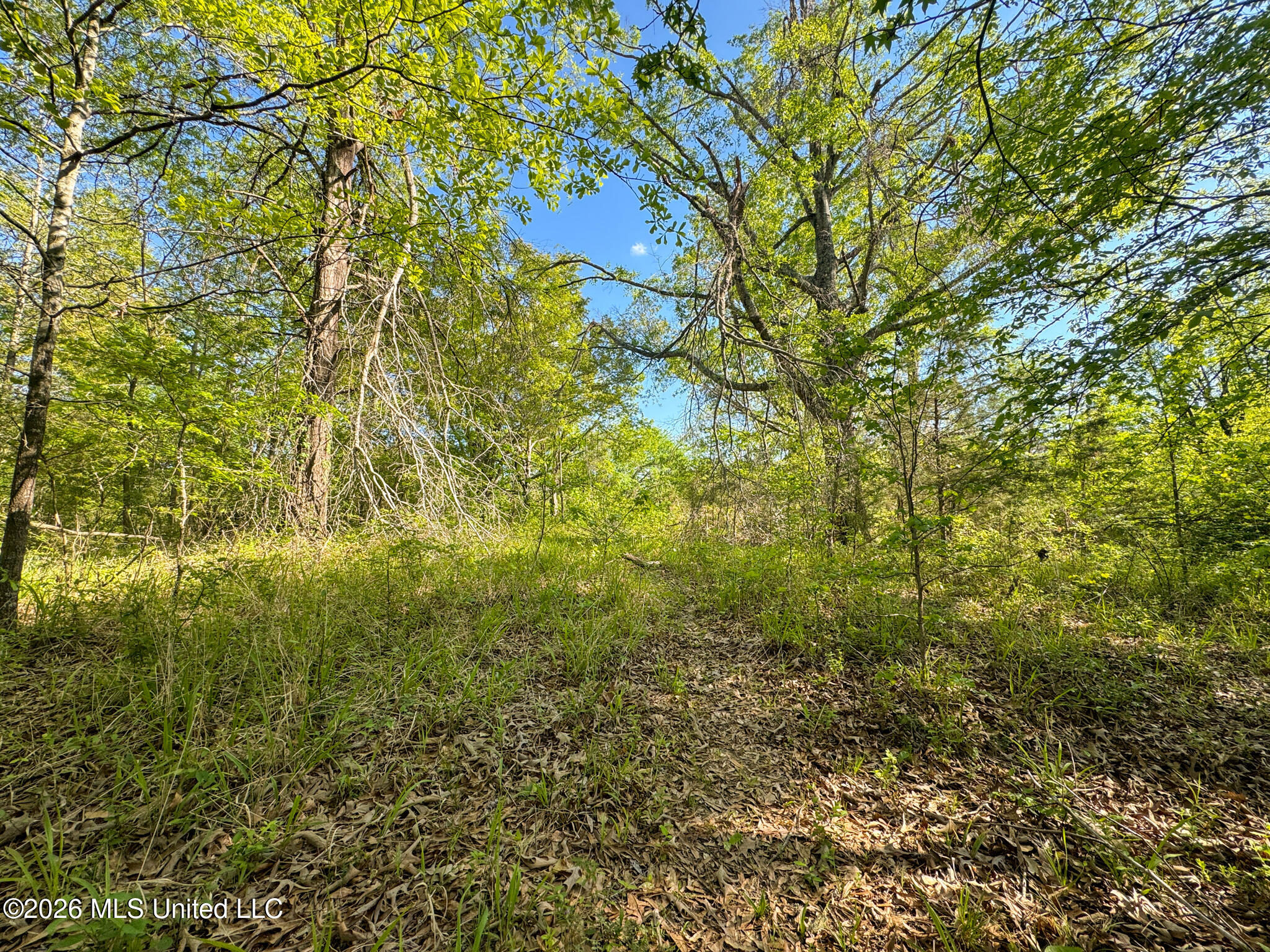 Dees Rd. Road Property Photo 11