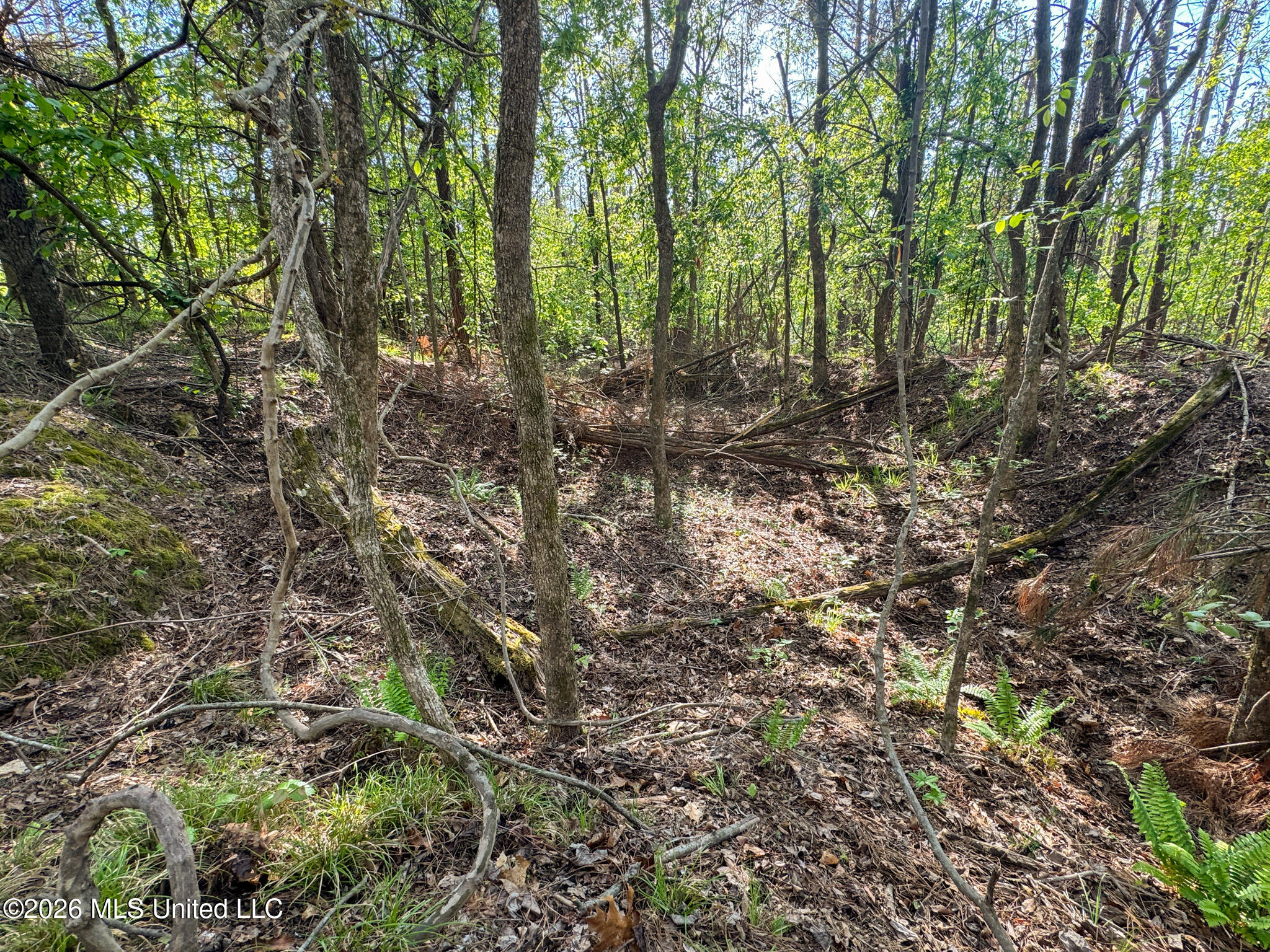 Dees Rd. Road Property Photo 15
