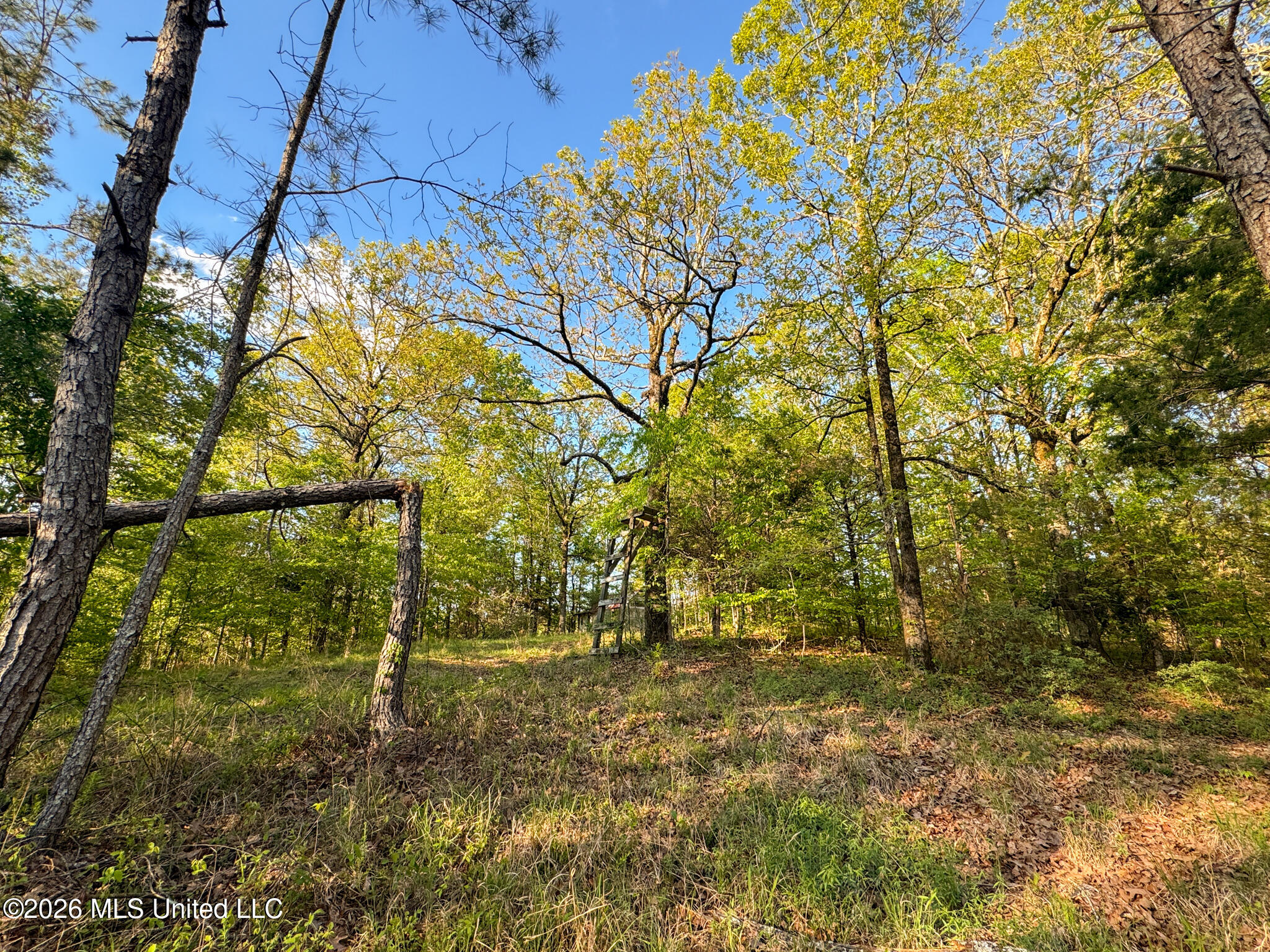 Dees Rd. Road Property Photo 37