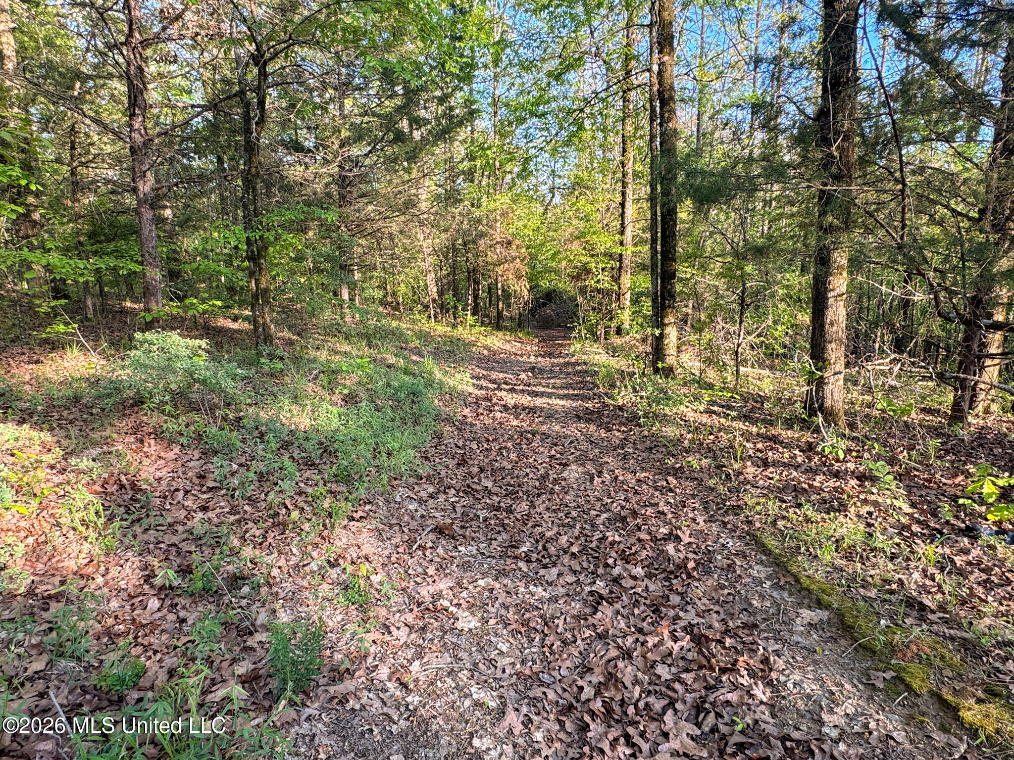Dees Rd. Road Property Photo 40