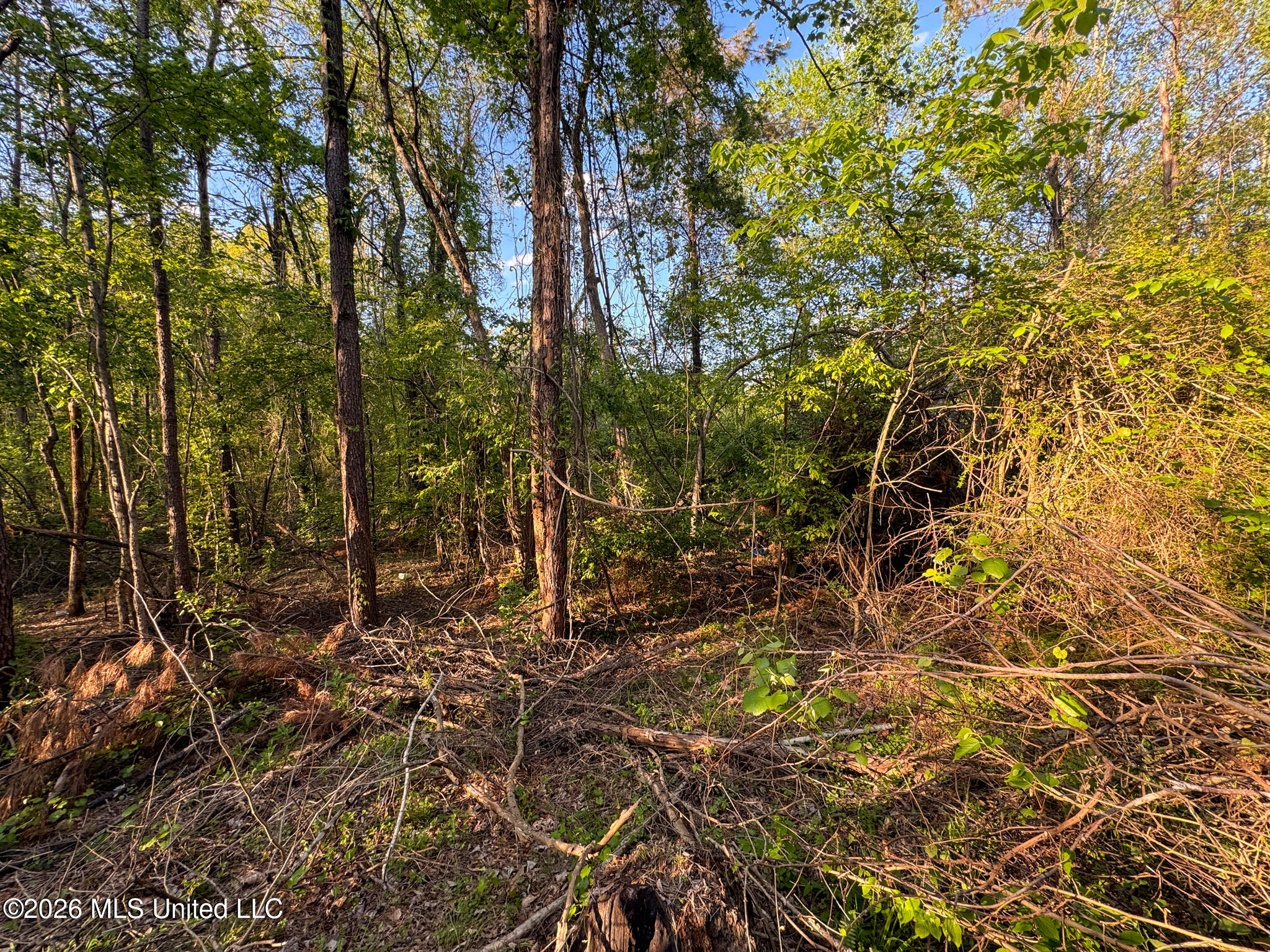 Dees Rd. Road Property Photo 47