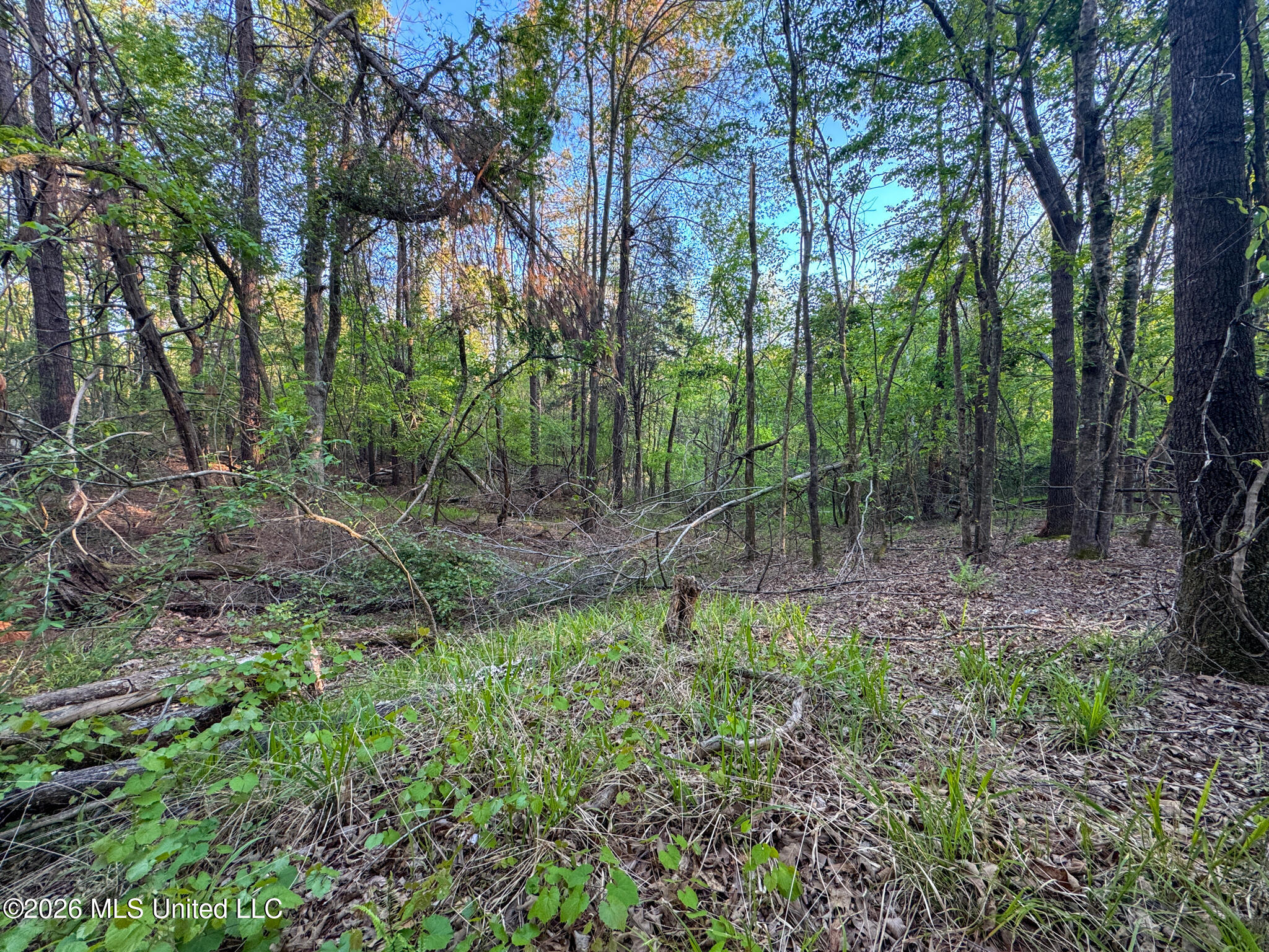 Dees Rd. Road Property Photo 52