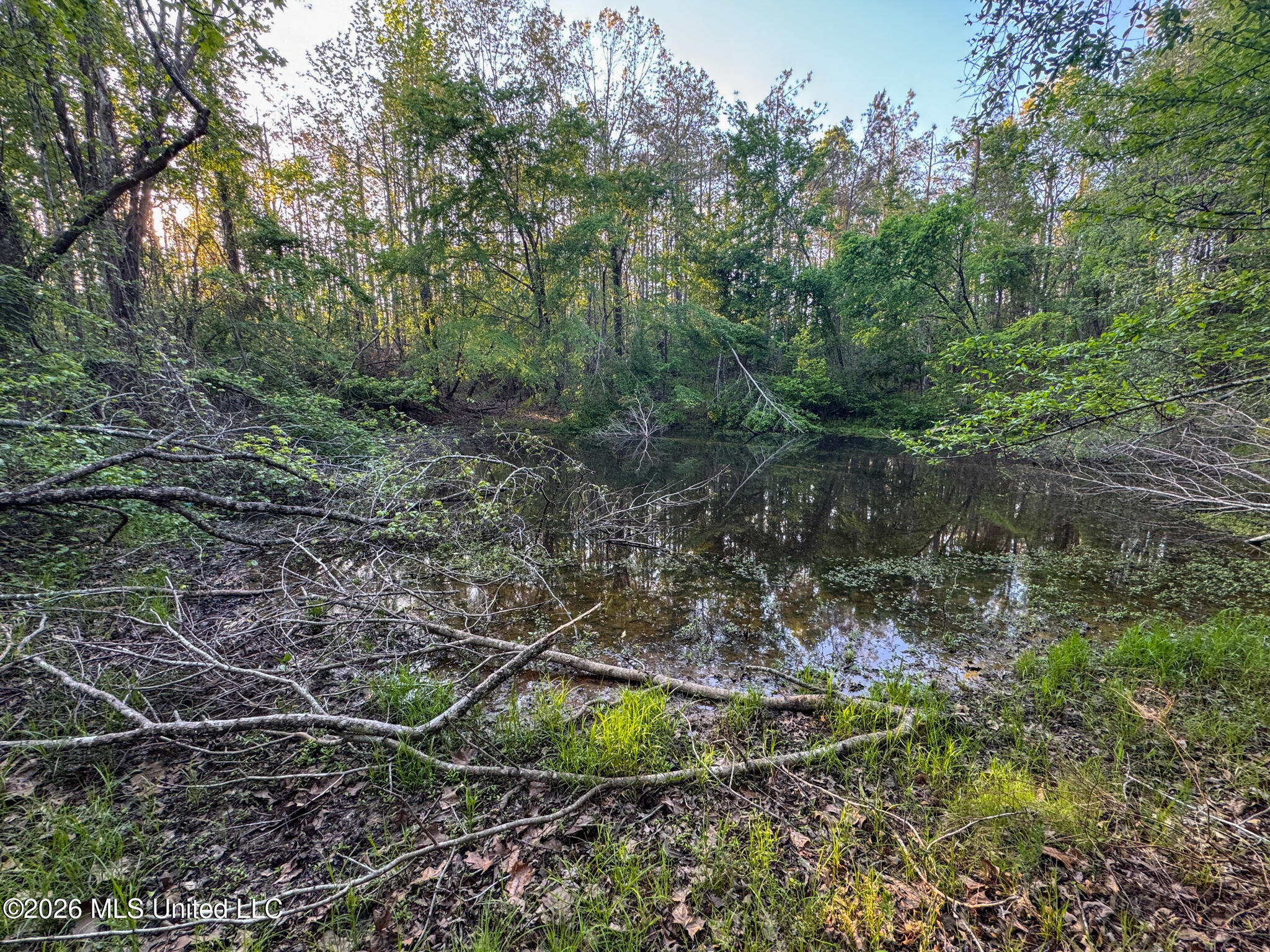 Dees Rd. Road Property Photo 53