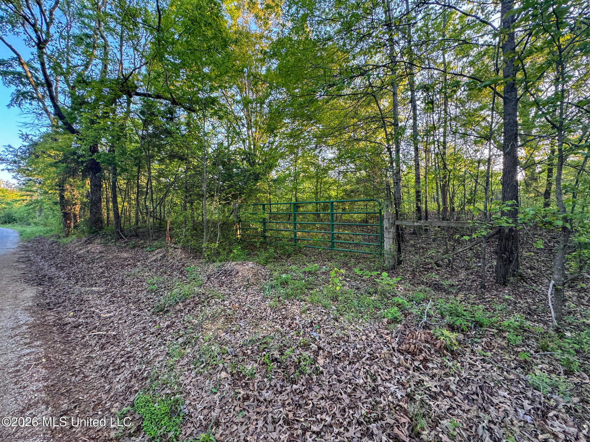 Dees Rd. Road Property Photo 55