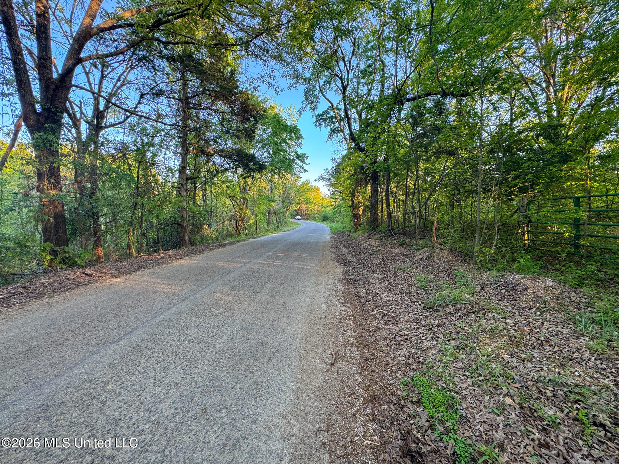 Dees Rd. Road Property Photo 56