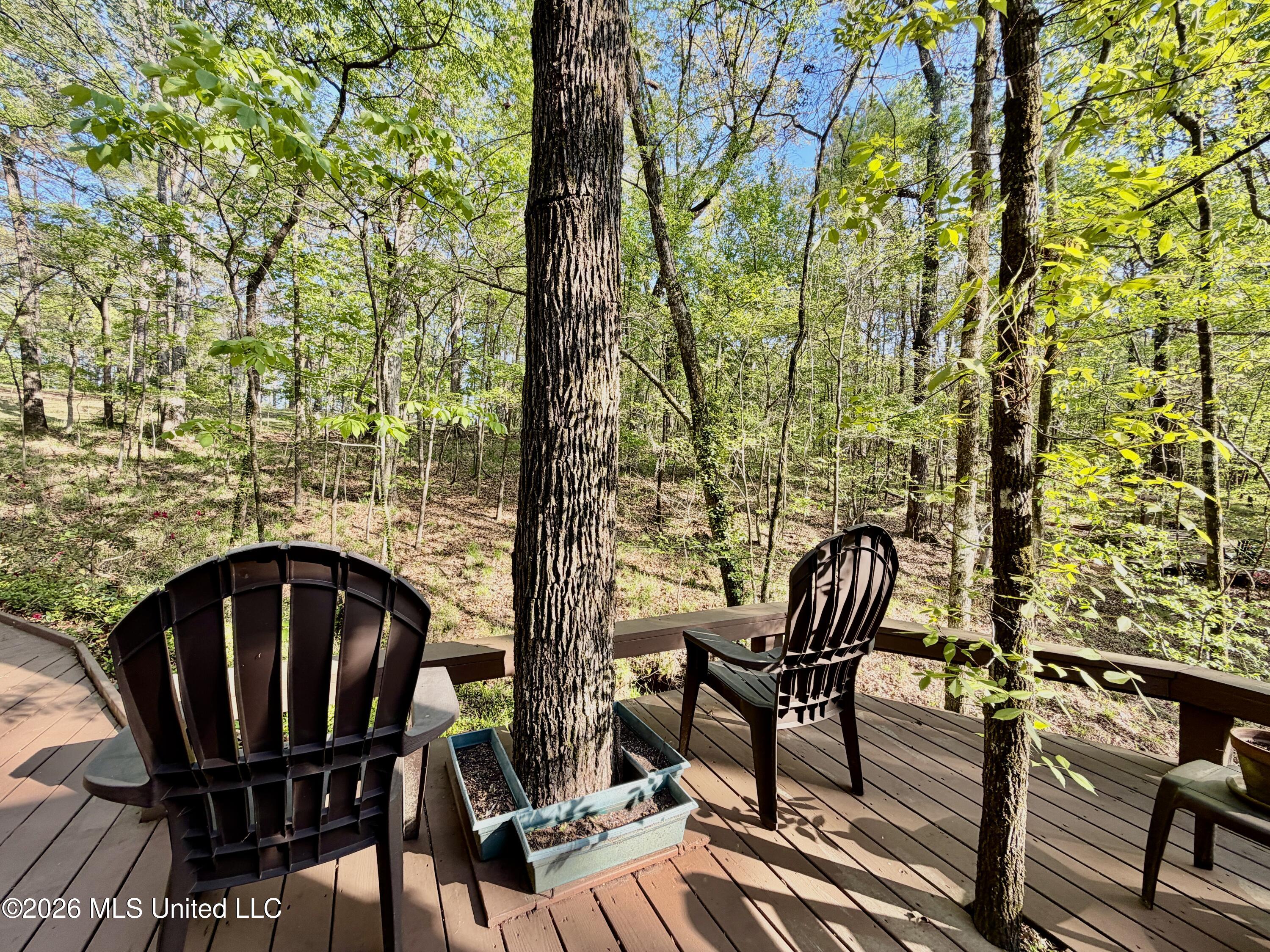 197 Skyline Drive Property Photo 13
