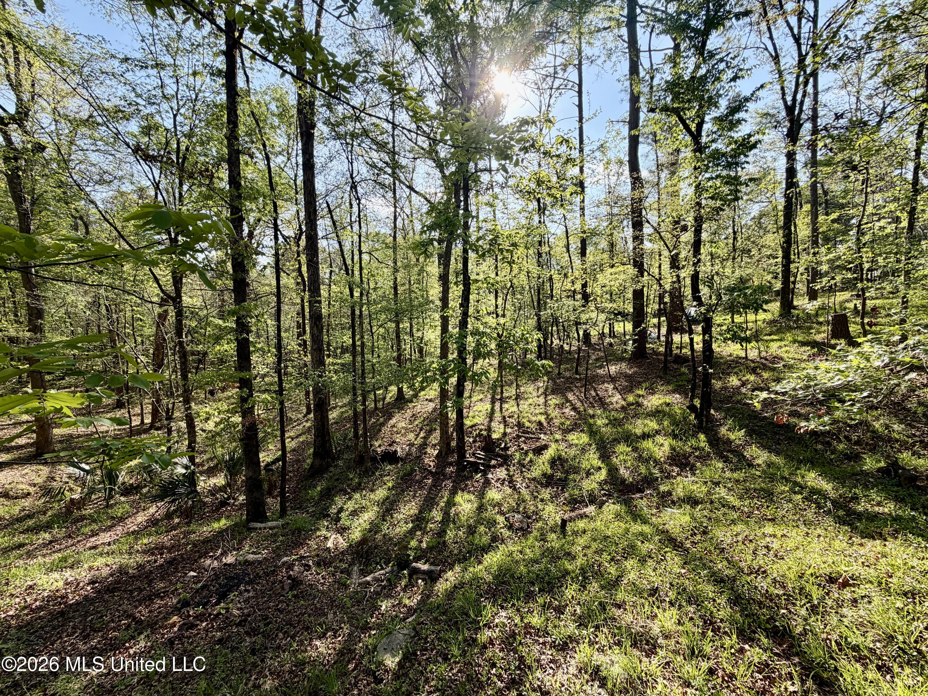 197 Skyline Drive Property Photo 92