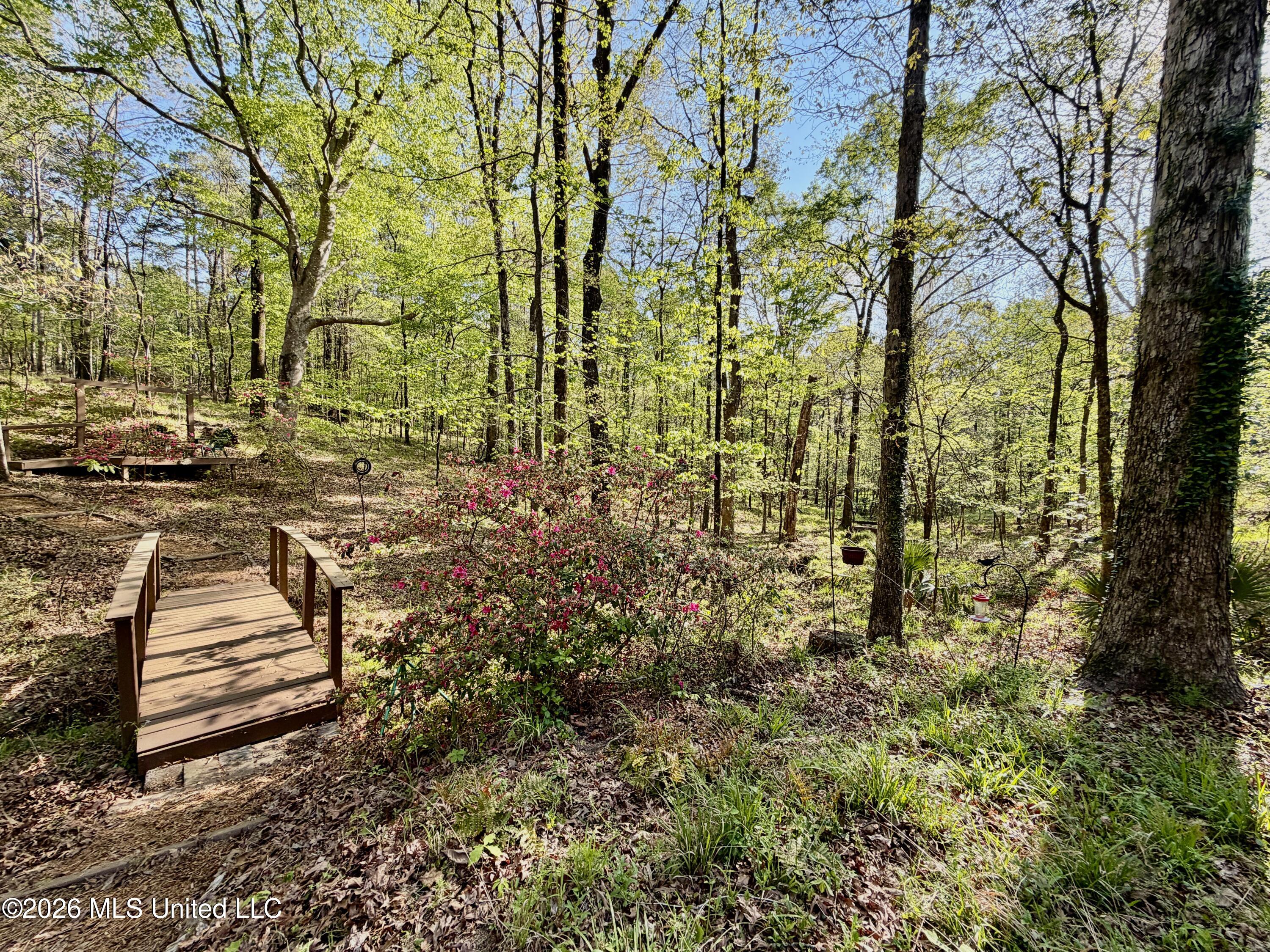 197 Skyline Drive Property Photo 94