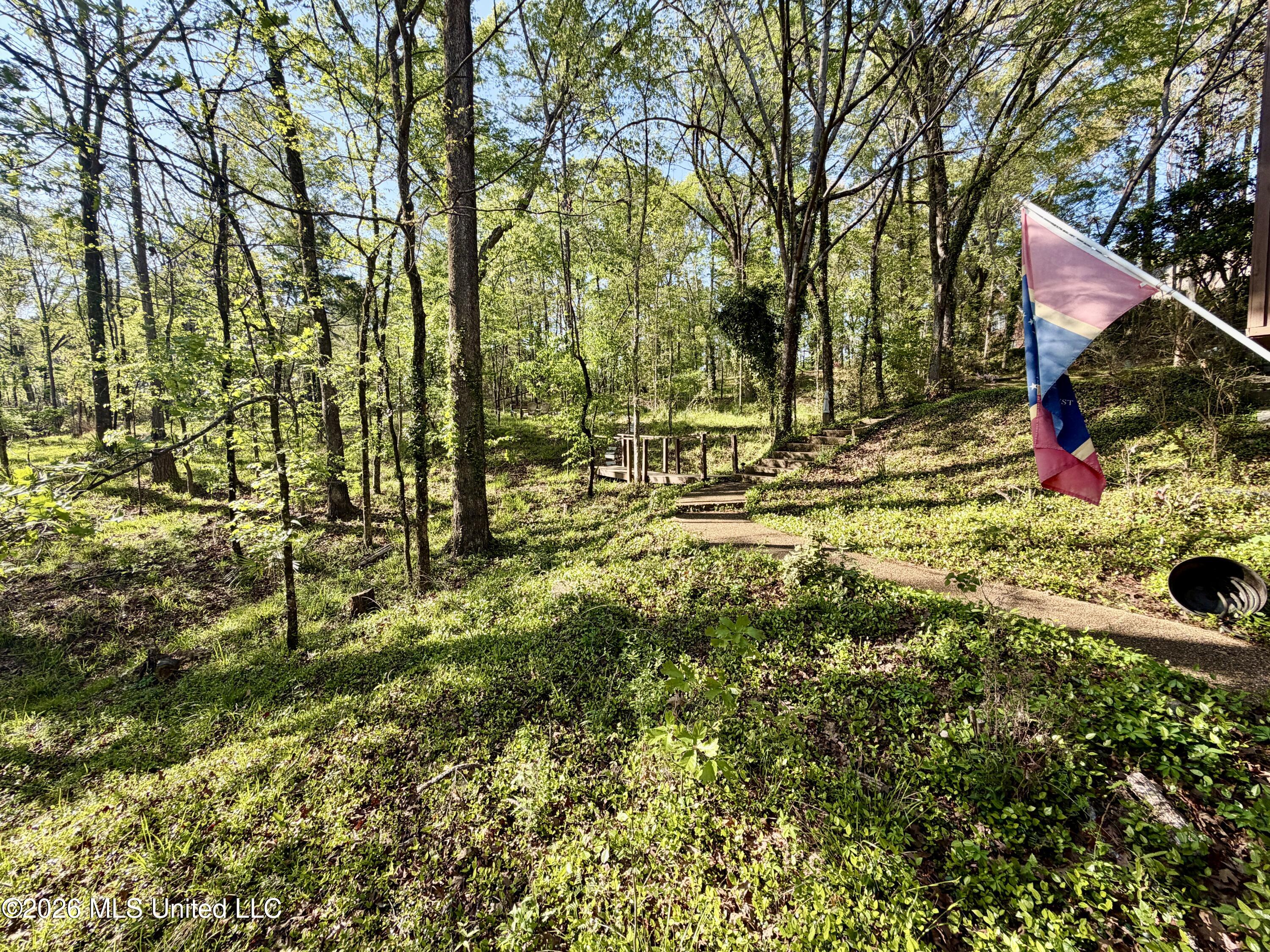 197 Skyline Drive Property Photo 96