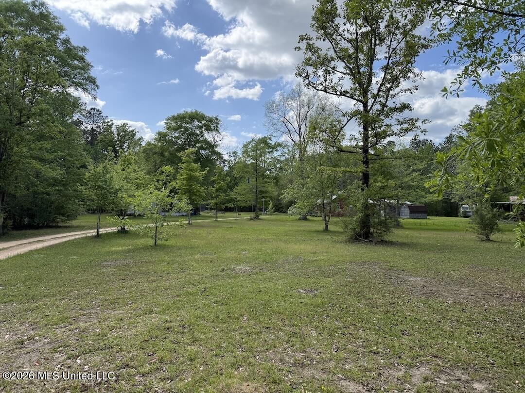 538 Miles Cemetery Road Property Photo 4
