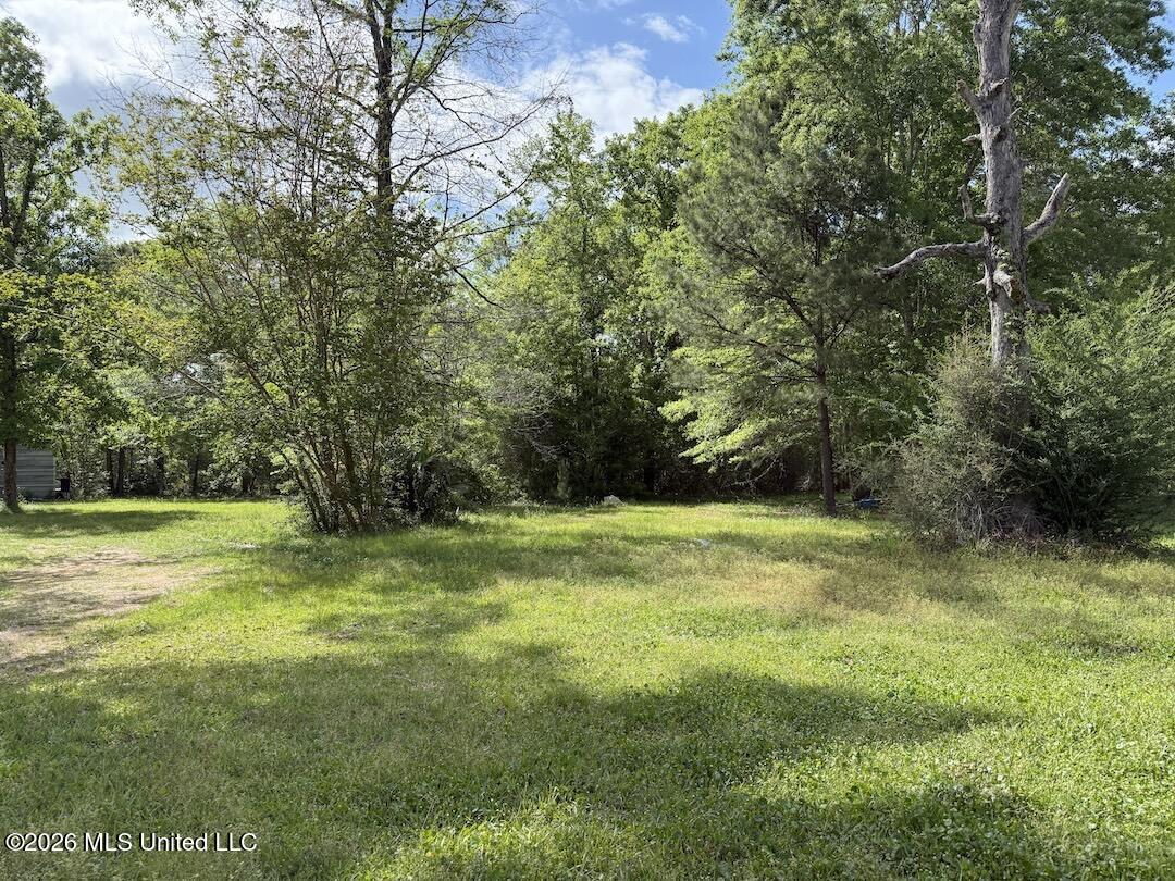 538 Miles Cemetery Road Property Photo 16