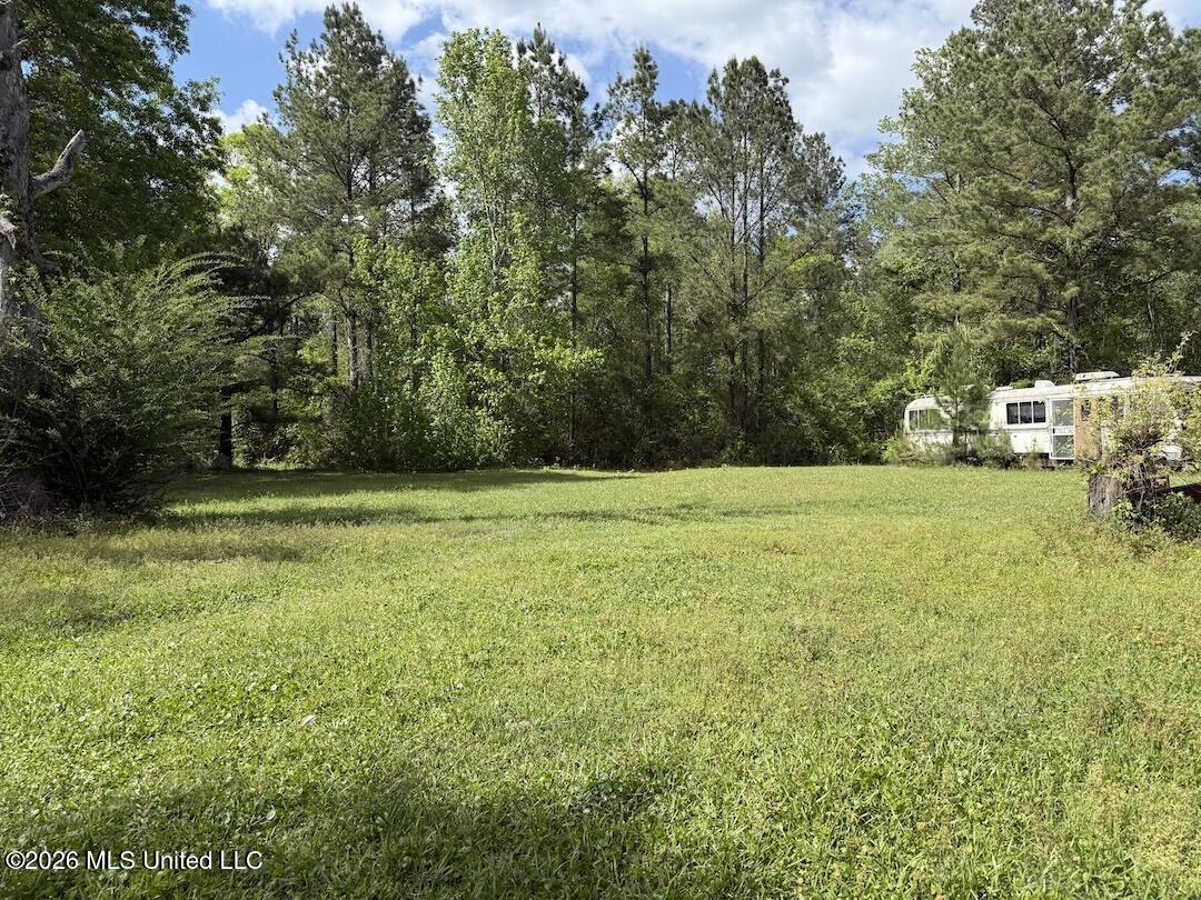 538 Miles Cemetery Road Property Photo 17