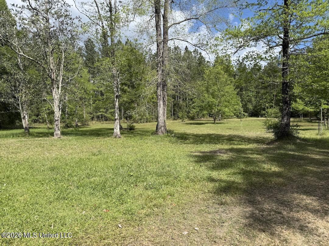 538 Miles Cemetery Road Property Photo 18