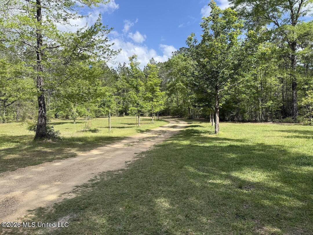 538 Miles Cemetery Road Property Photo 19
