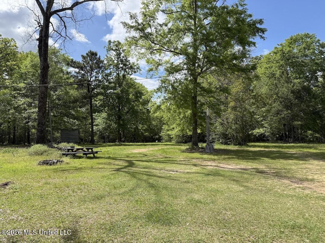 538 Miles Cemetery Road Property Photo 20