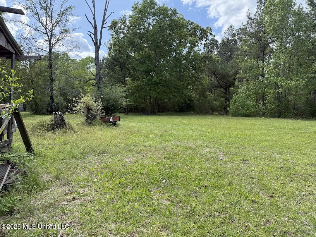 538 Miles Cemetery Road Property Photo 23