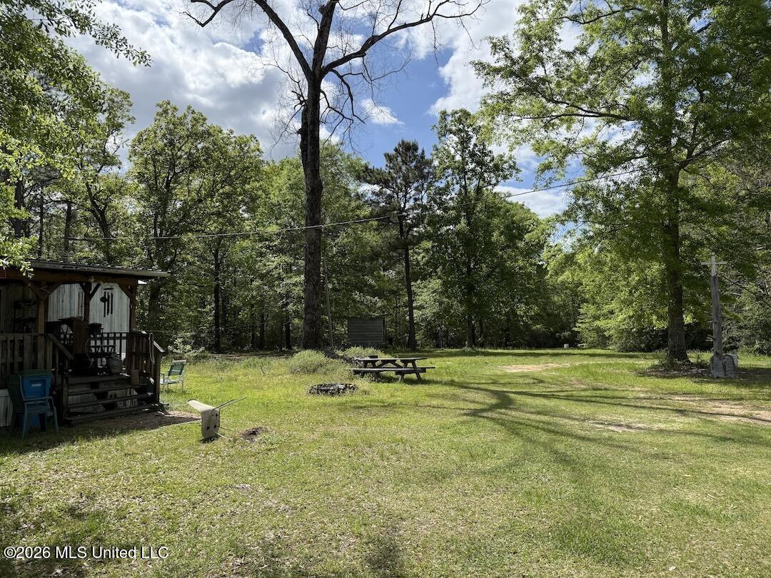 538 Miles Cemetery Road Property Photo 24