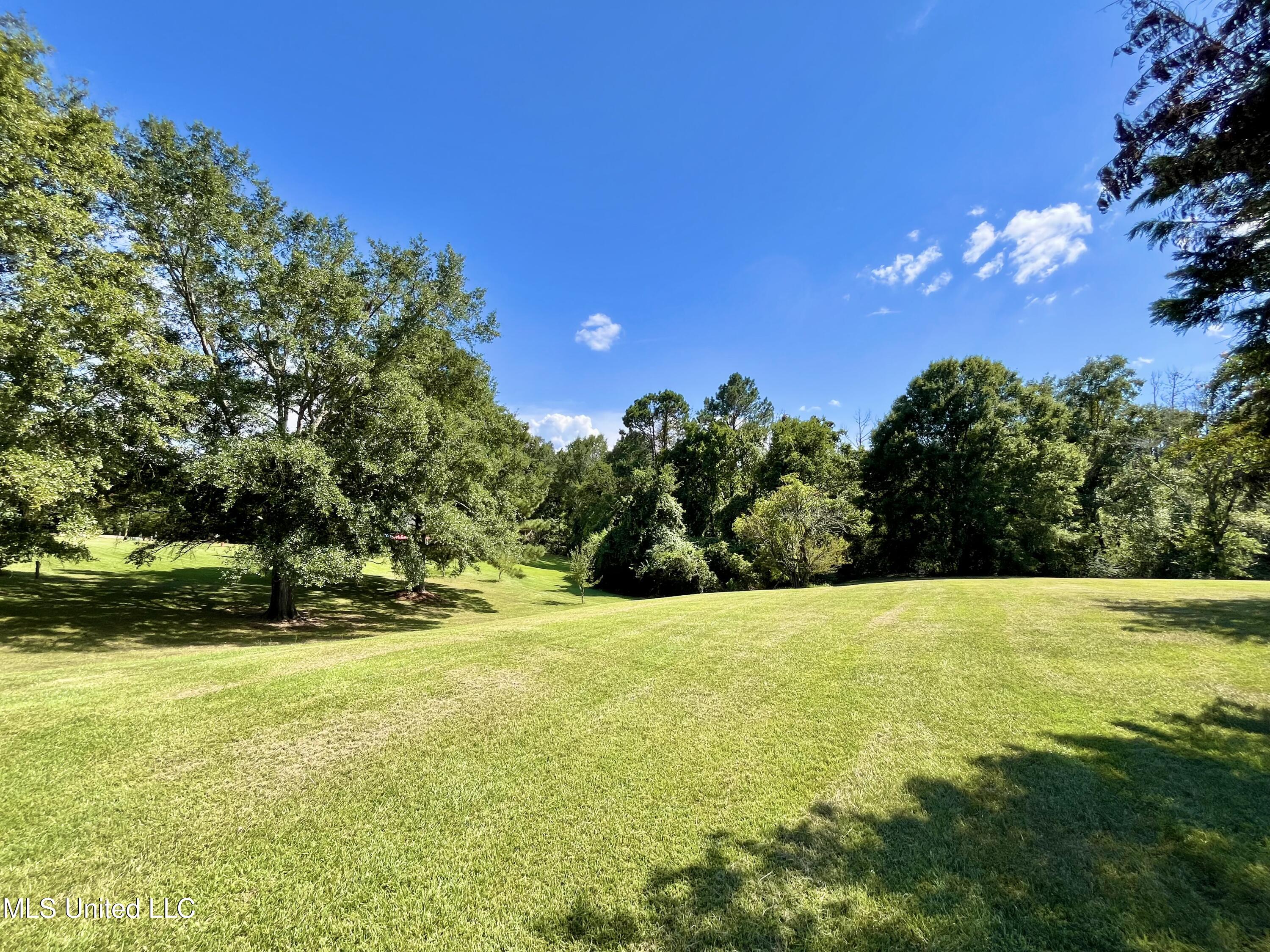 13 Canebrake Drive Property Photo 51