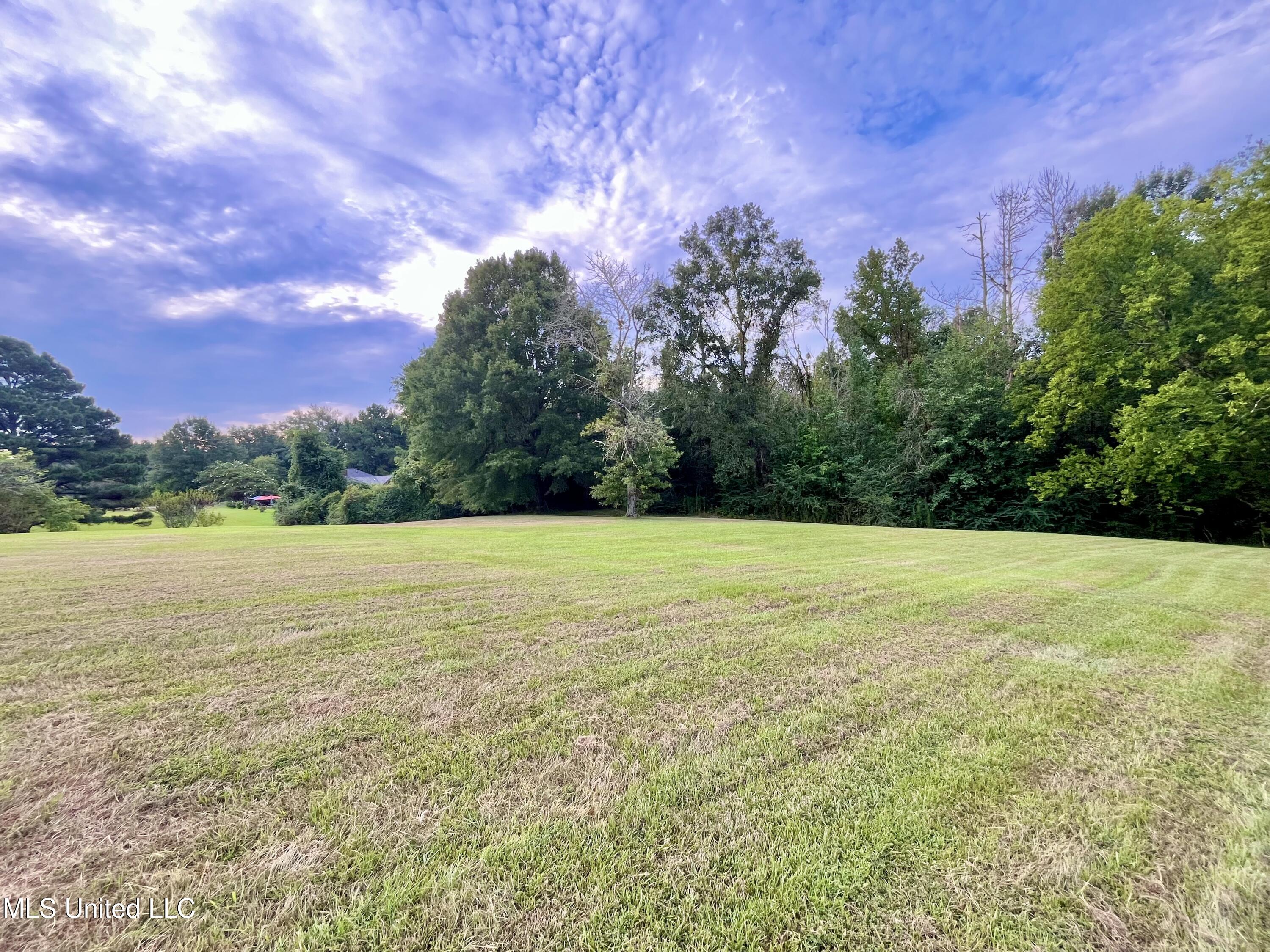 13 Canebrake Drive Property Photo 53